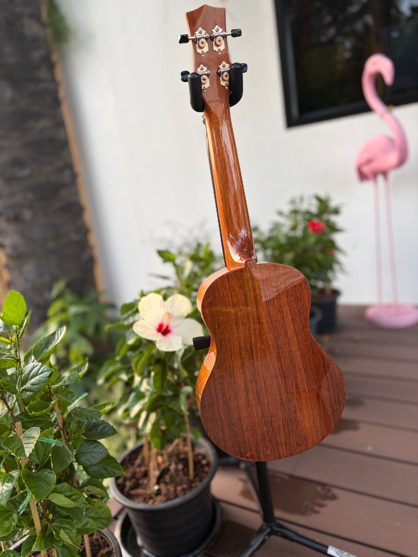 Kiwaya Strummer Series KPC-1K all solid Hawaiian Koa Concert