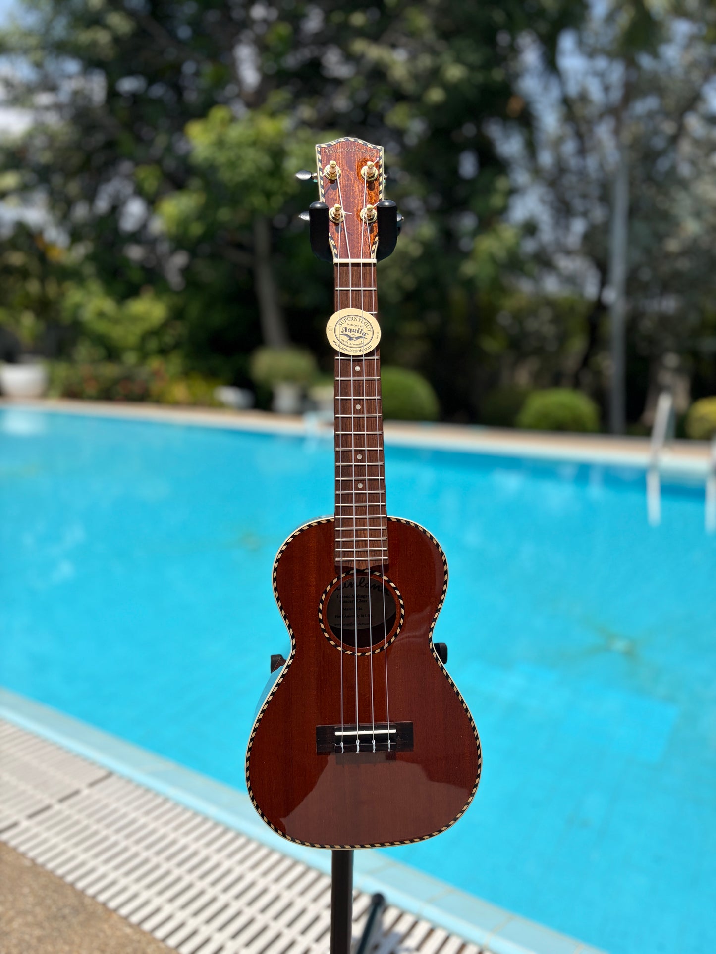 Mainland Mahogany Concert Ukulele