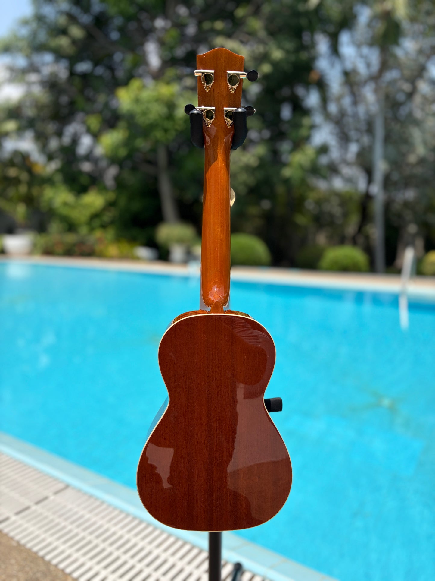 Mainland Mahogany Concert Ukulele