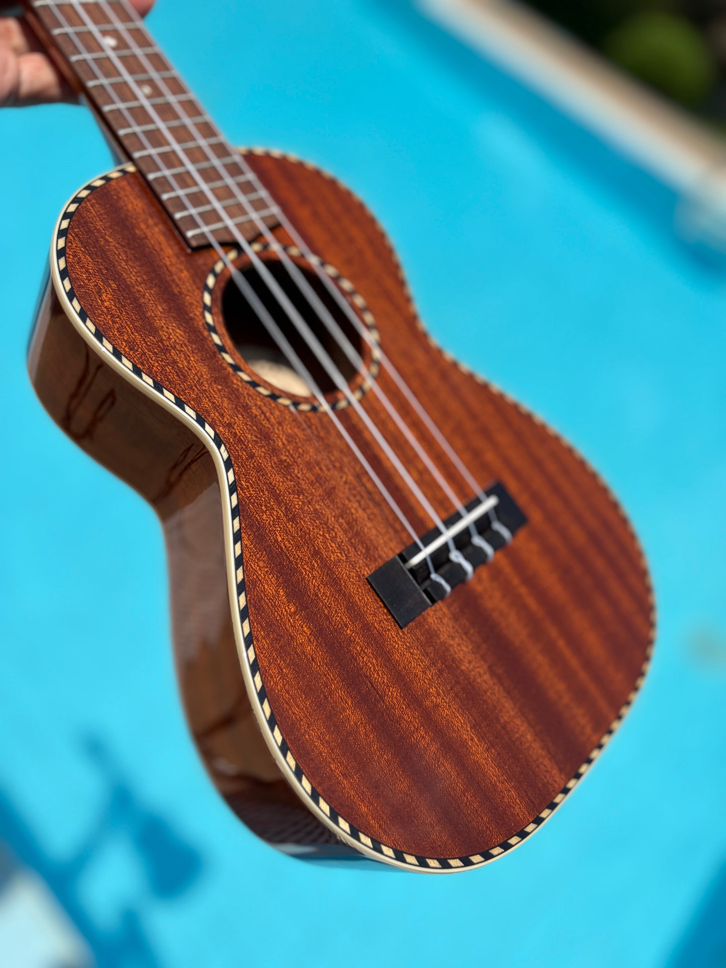 Mainland Mahogany Concert Ukulele