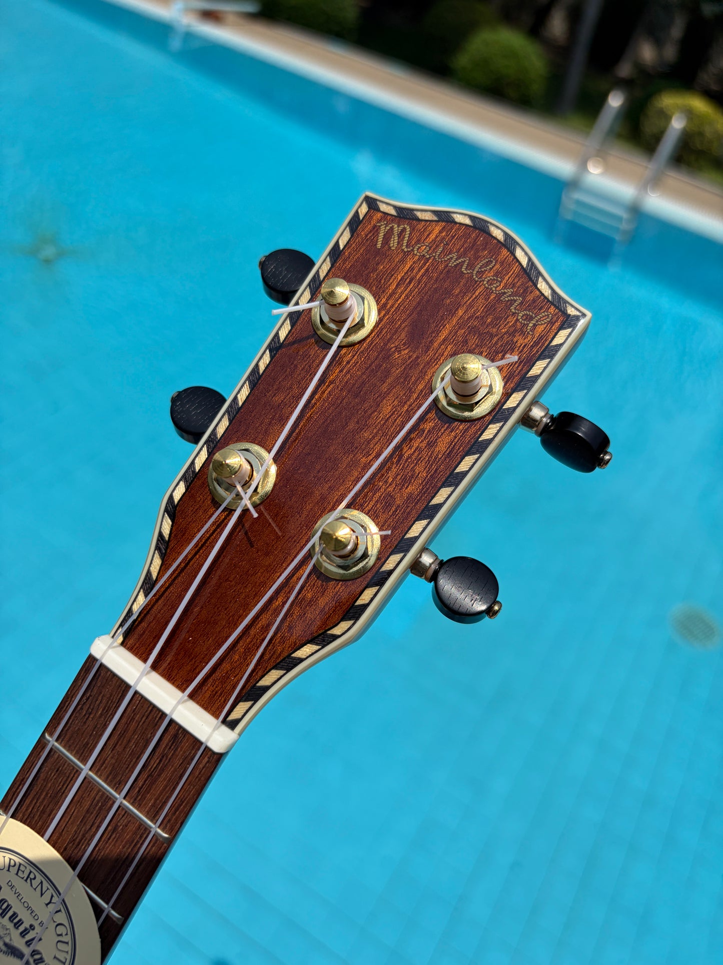 Mainland Mahogany Concert Ukulele