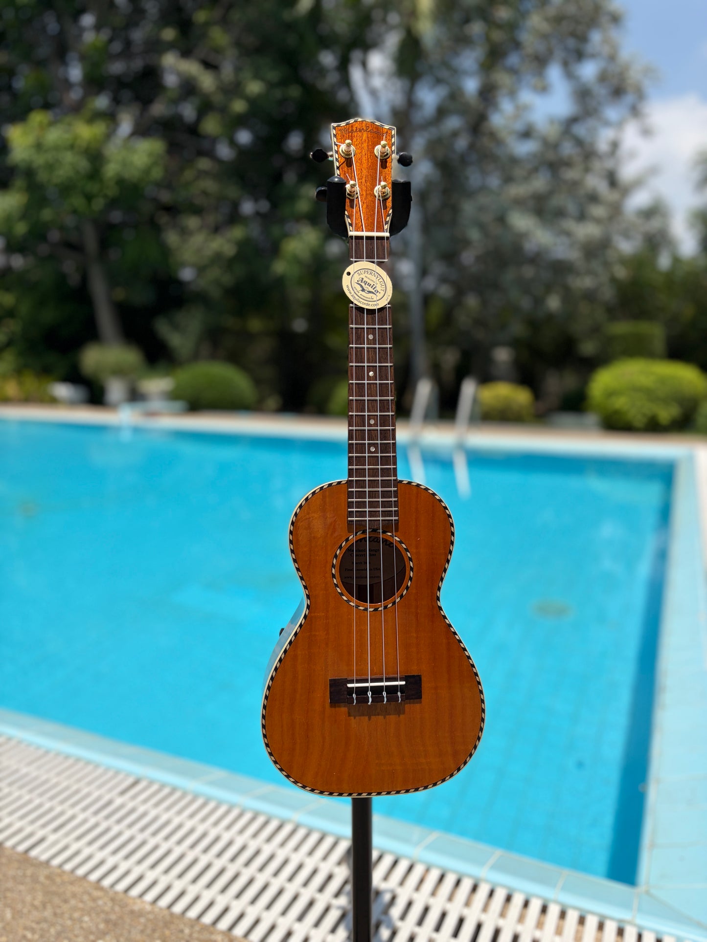 Mainland Mango Concert Ukulele