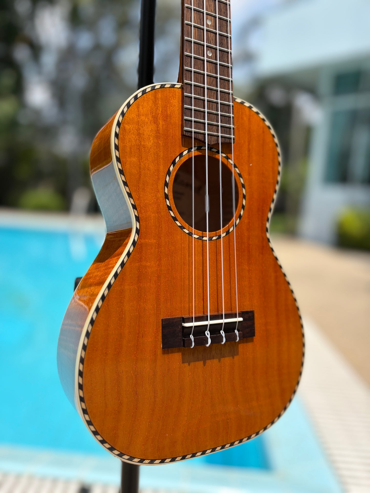 Mainland Mango Concert Ukulele