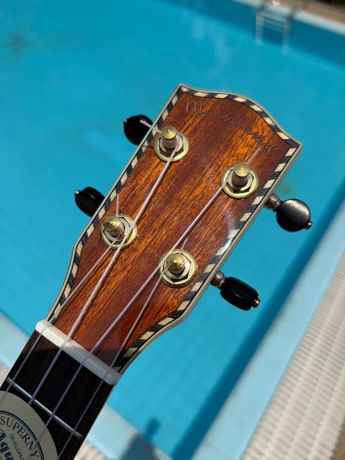 Mainland Mango Concert Ukulele