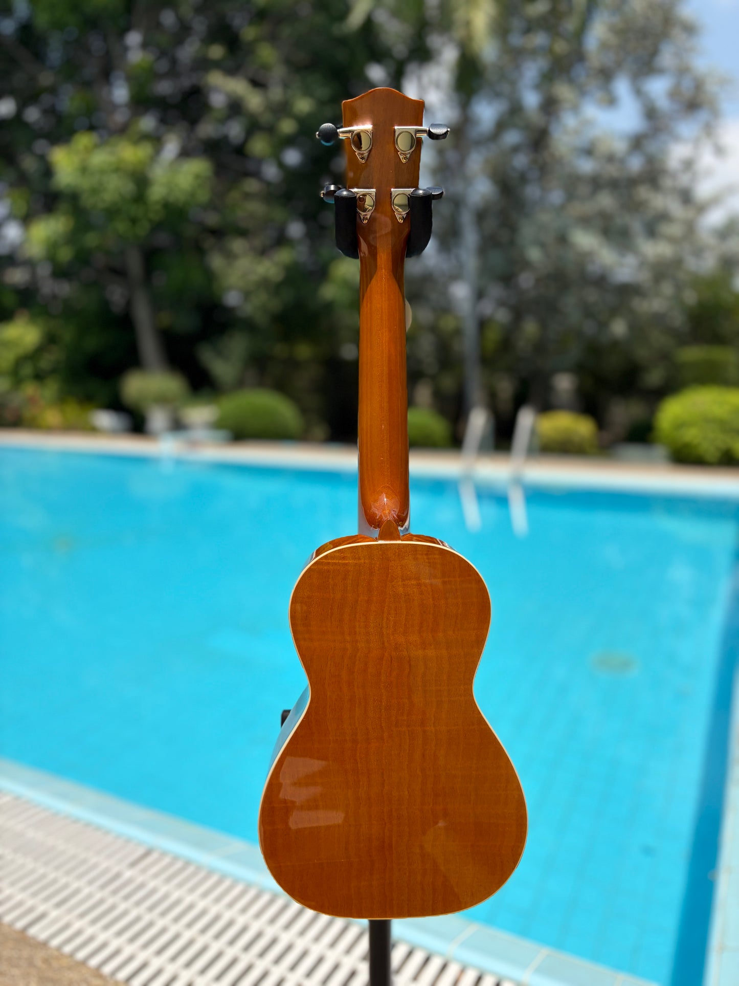 Mainland Mango Concert Ukulele