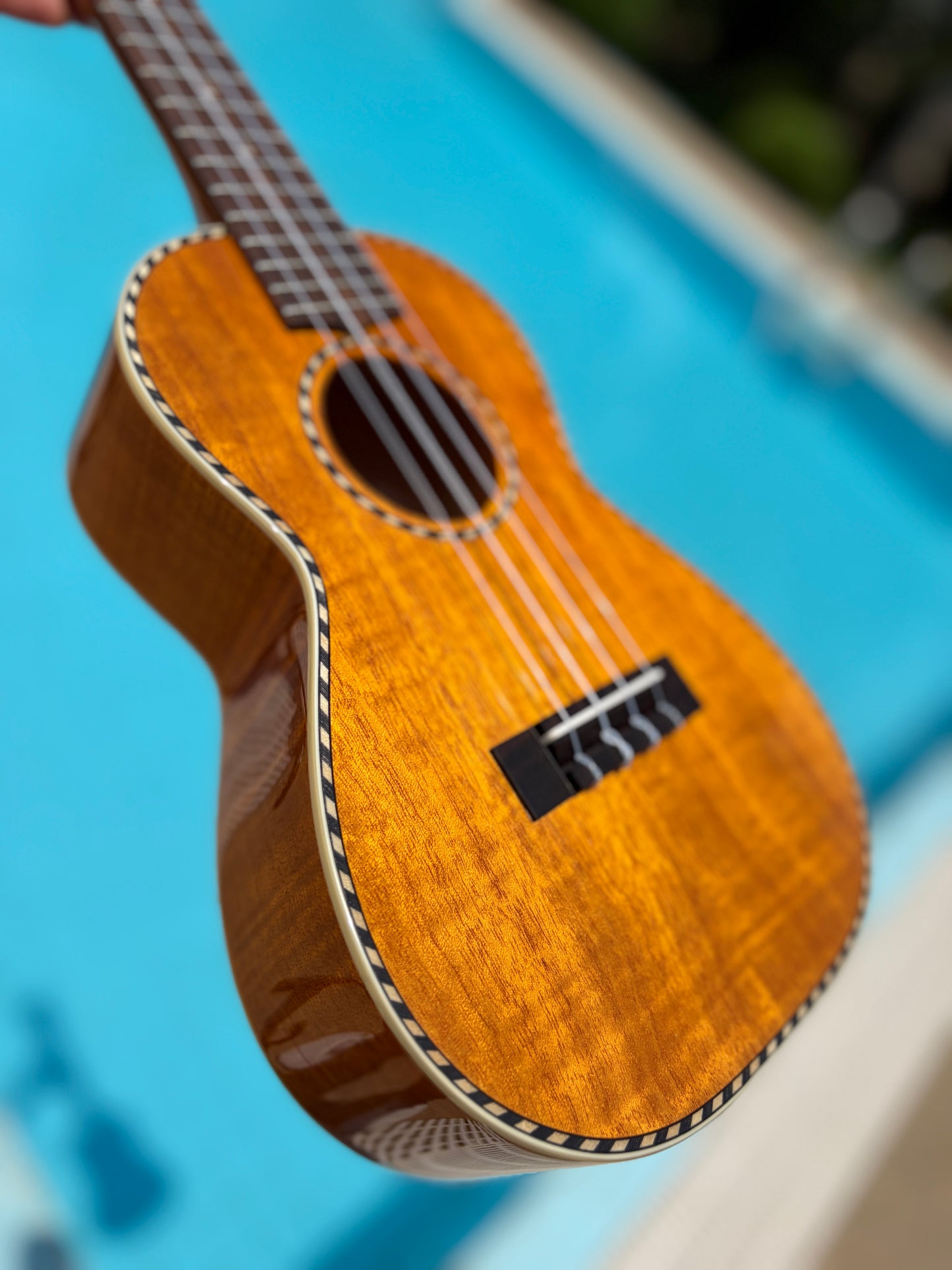 Mainland Mango Concert Ukulele