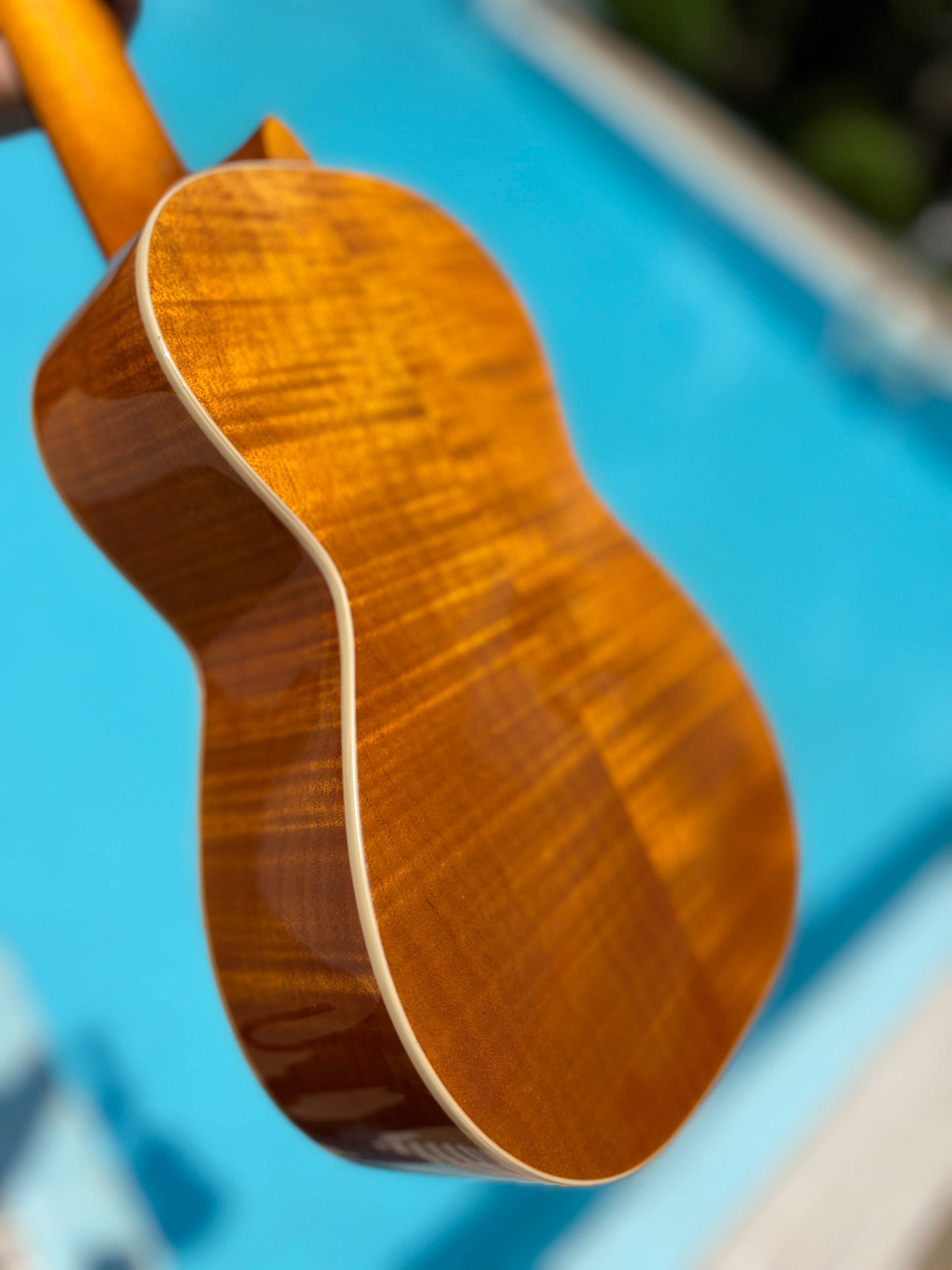 Mainland Mango Concert Ukulele