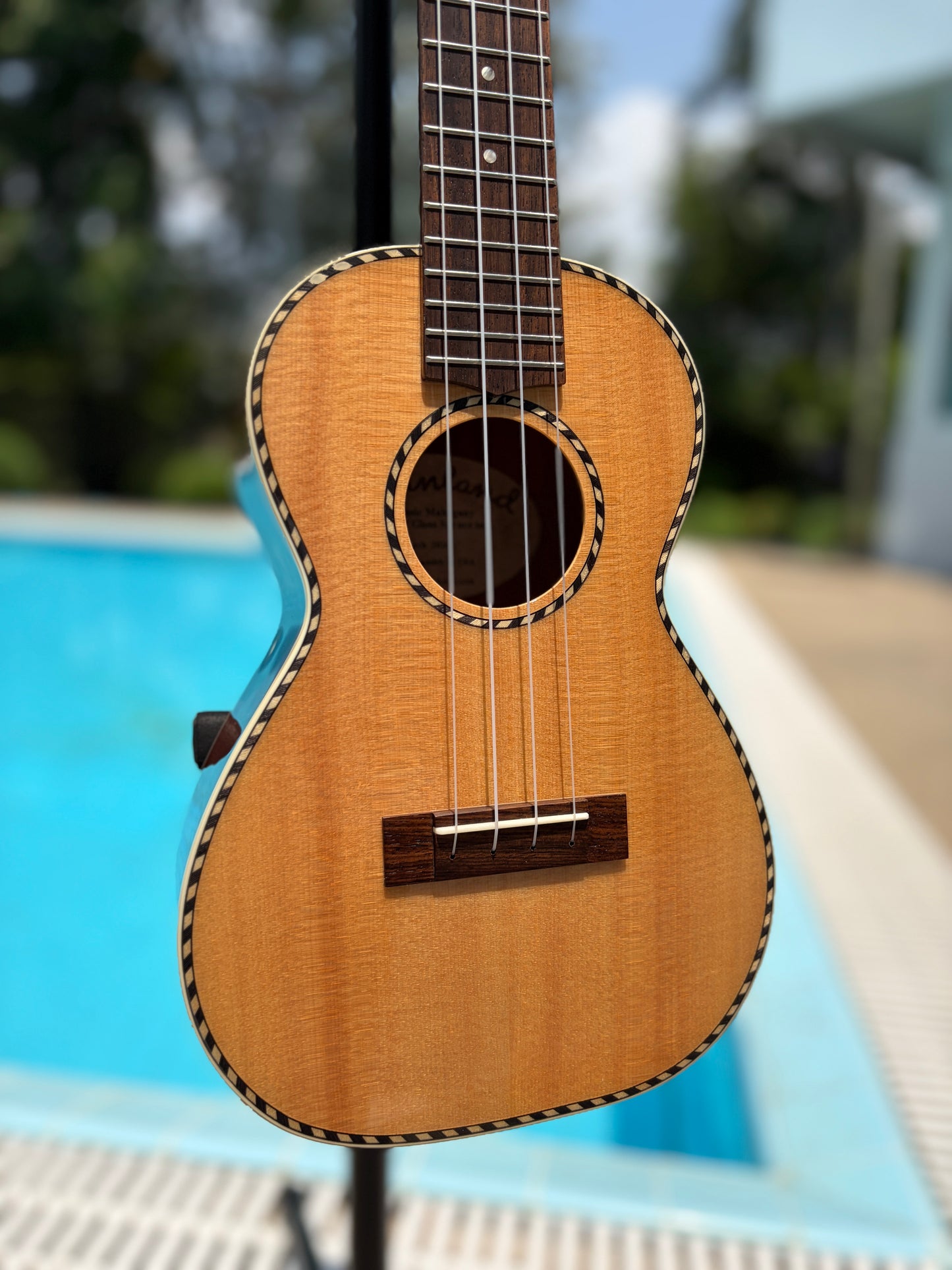 Mainland Spruce Top/ Mahogany Back & Sides Concert Ukulele