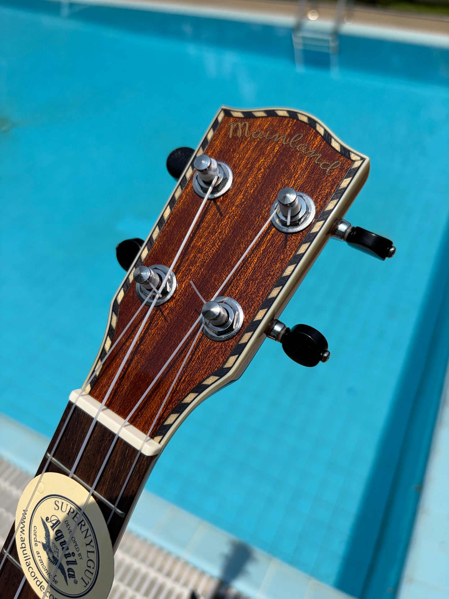 Mainland Spruce Top/ Mahogany Back & Sides Concert Ukulele