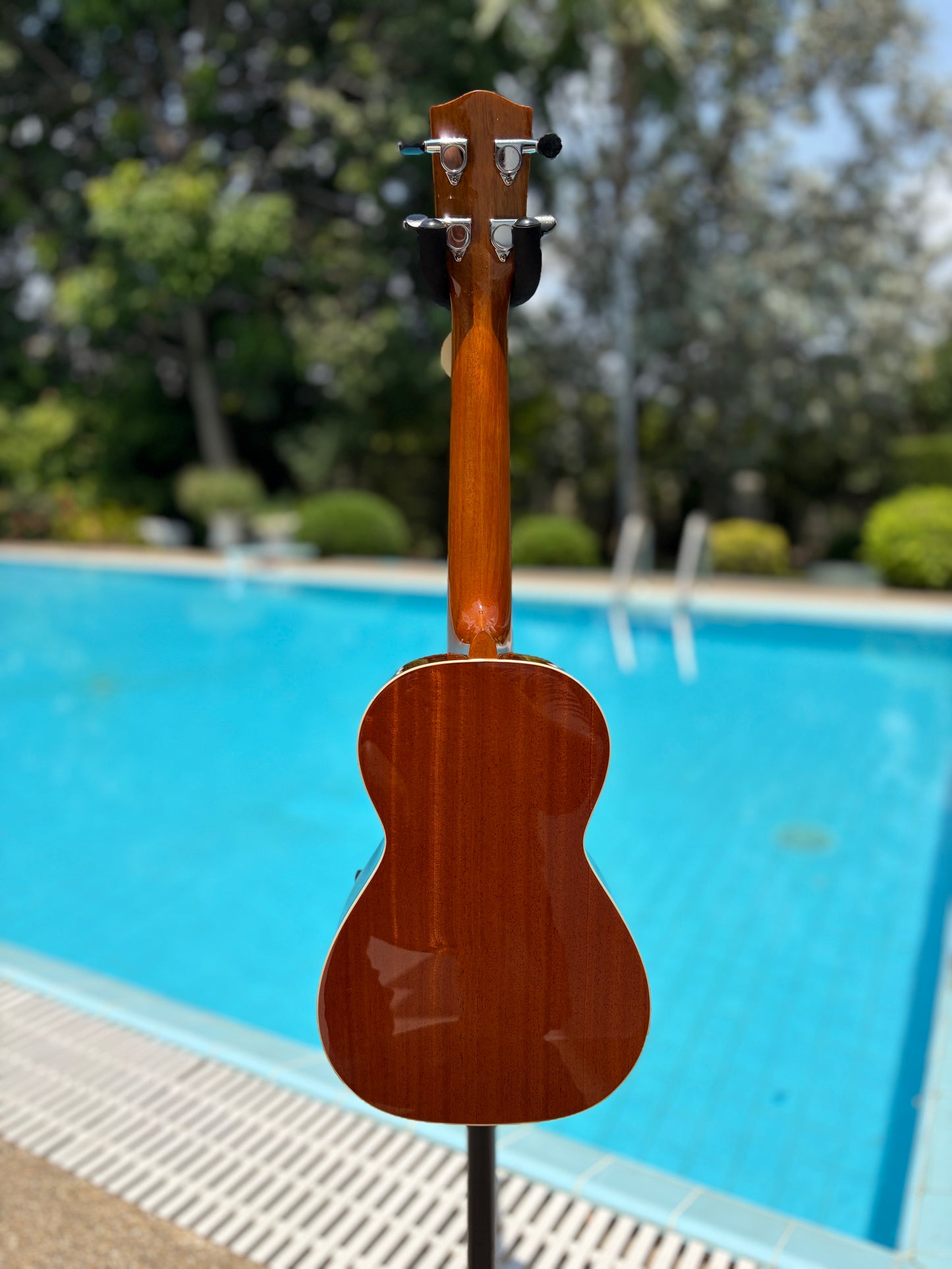 Mainland Spruce Top/ Mahogany Back & Sides Concert Ukulele