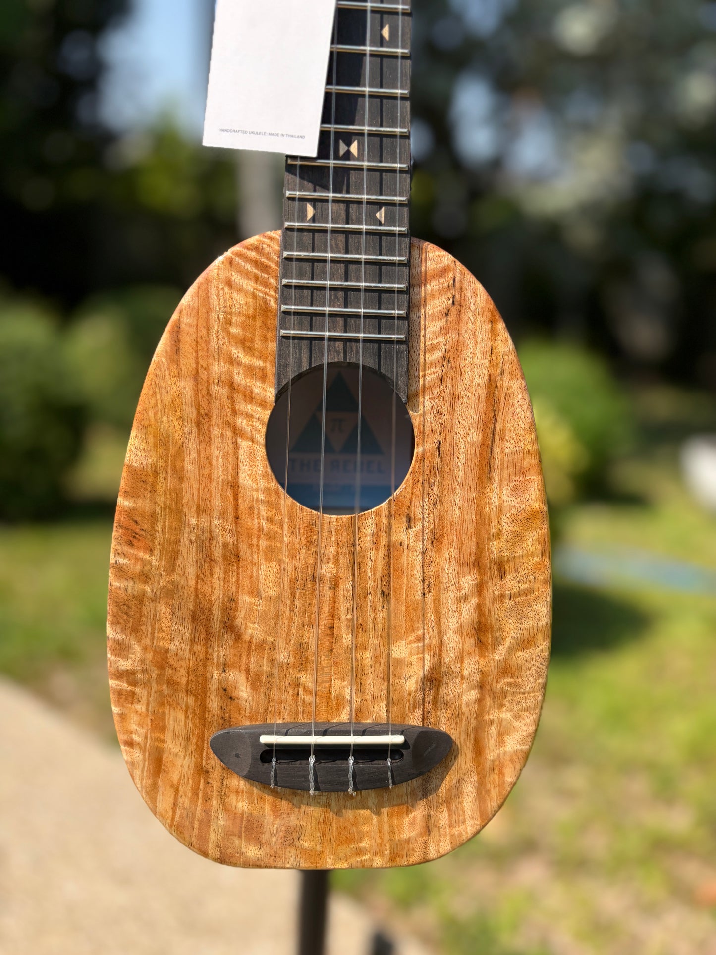 The Rebel Pi Pineapple Mango Ukulele
