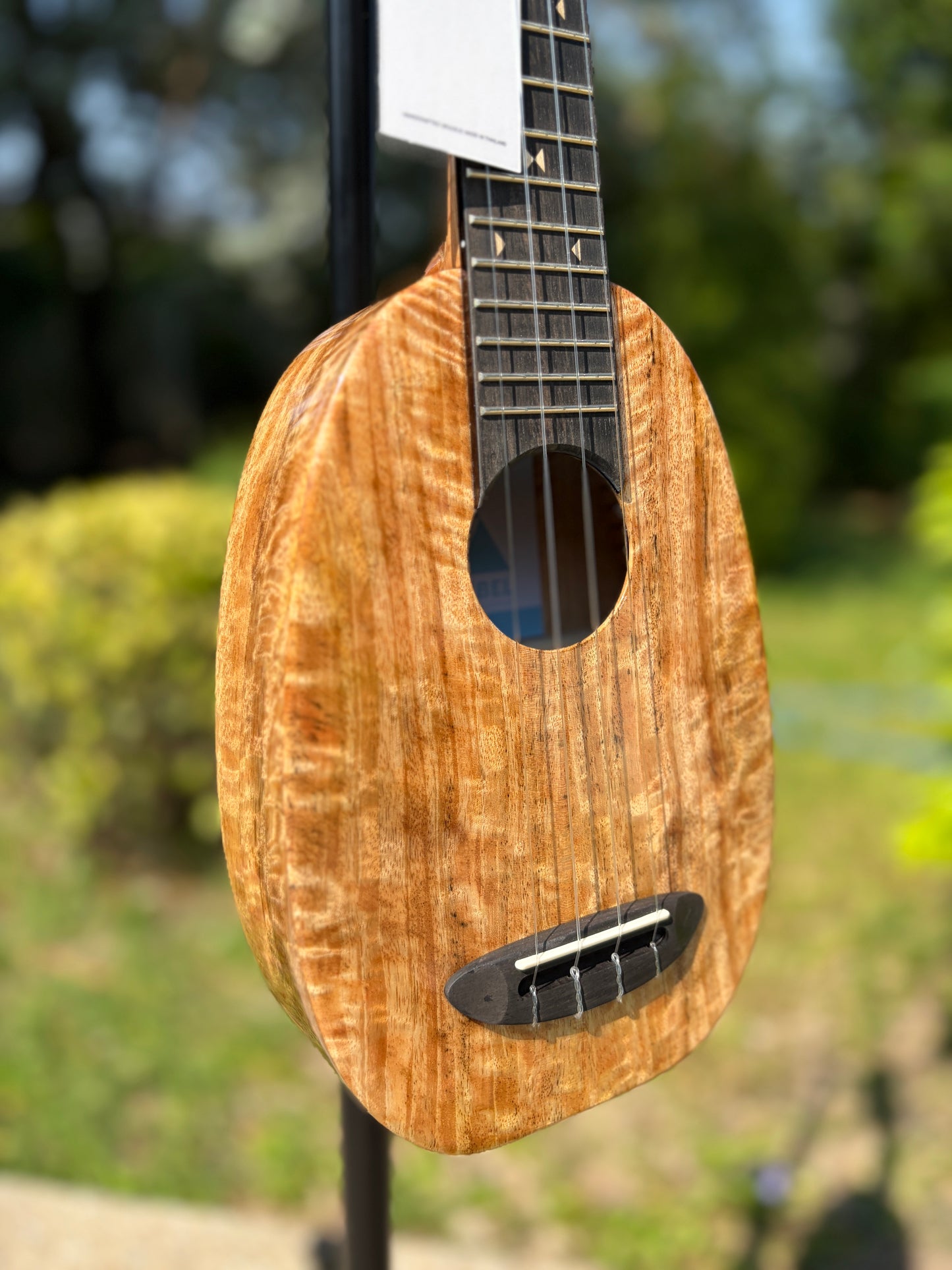 The Rebel Pi Pineapple Mango Ukulele