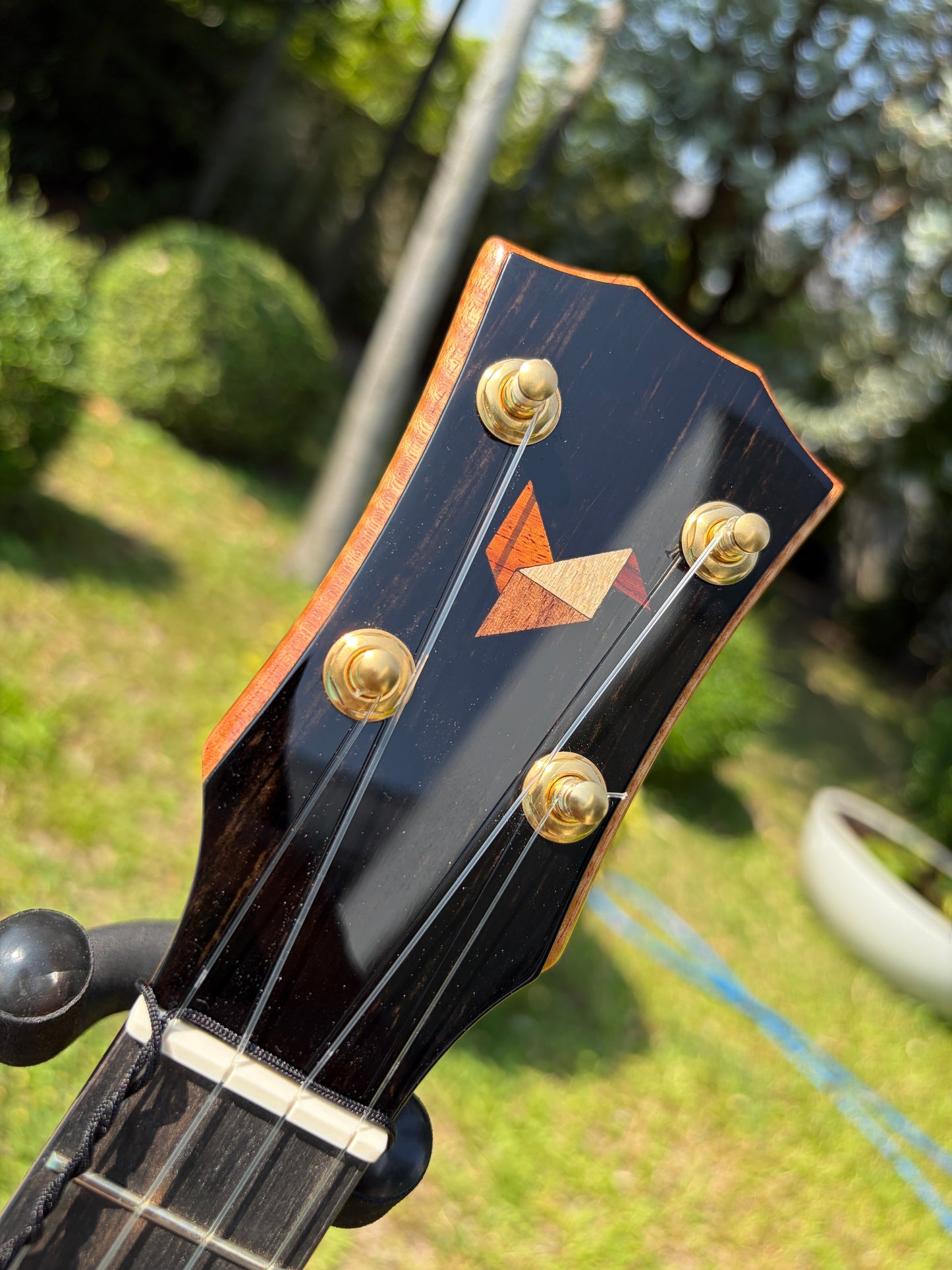 The Rebel Pi Pineapple Mango Ukulele
