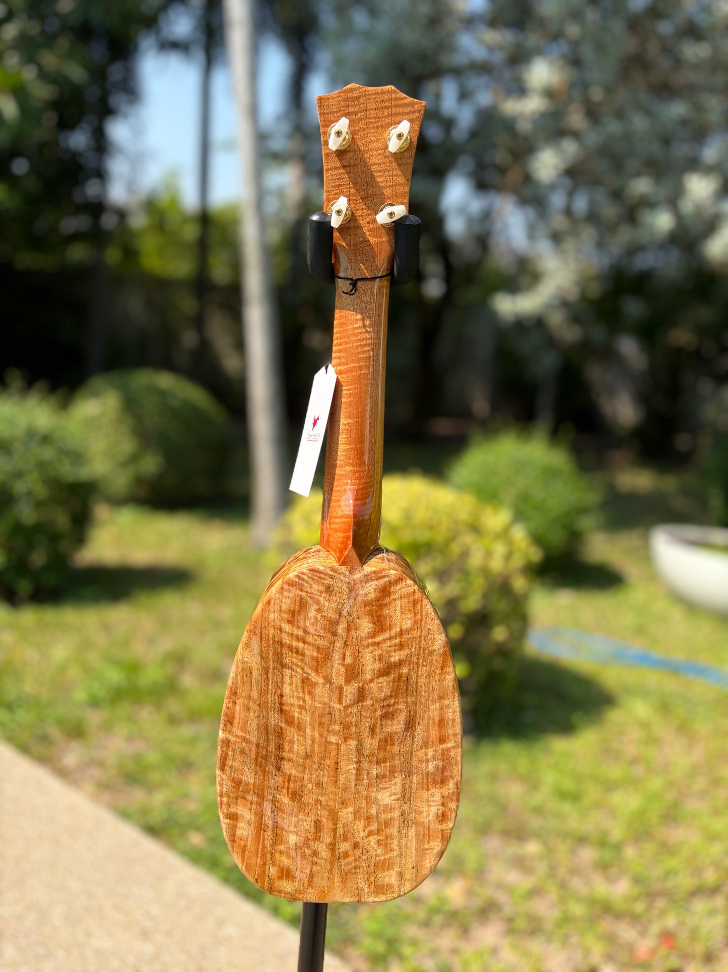The Rebel Pi Pineapple Mango Ukulele