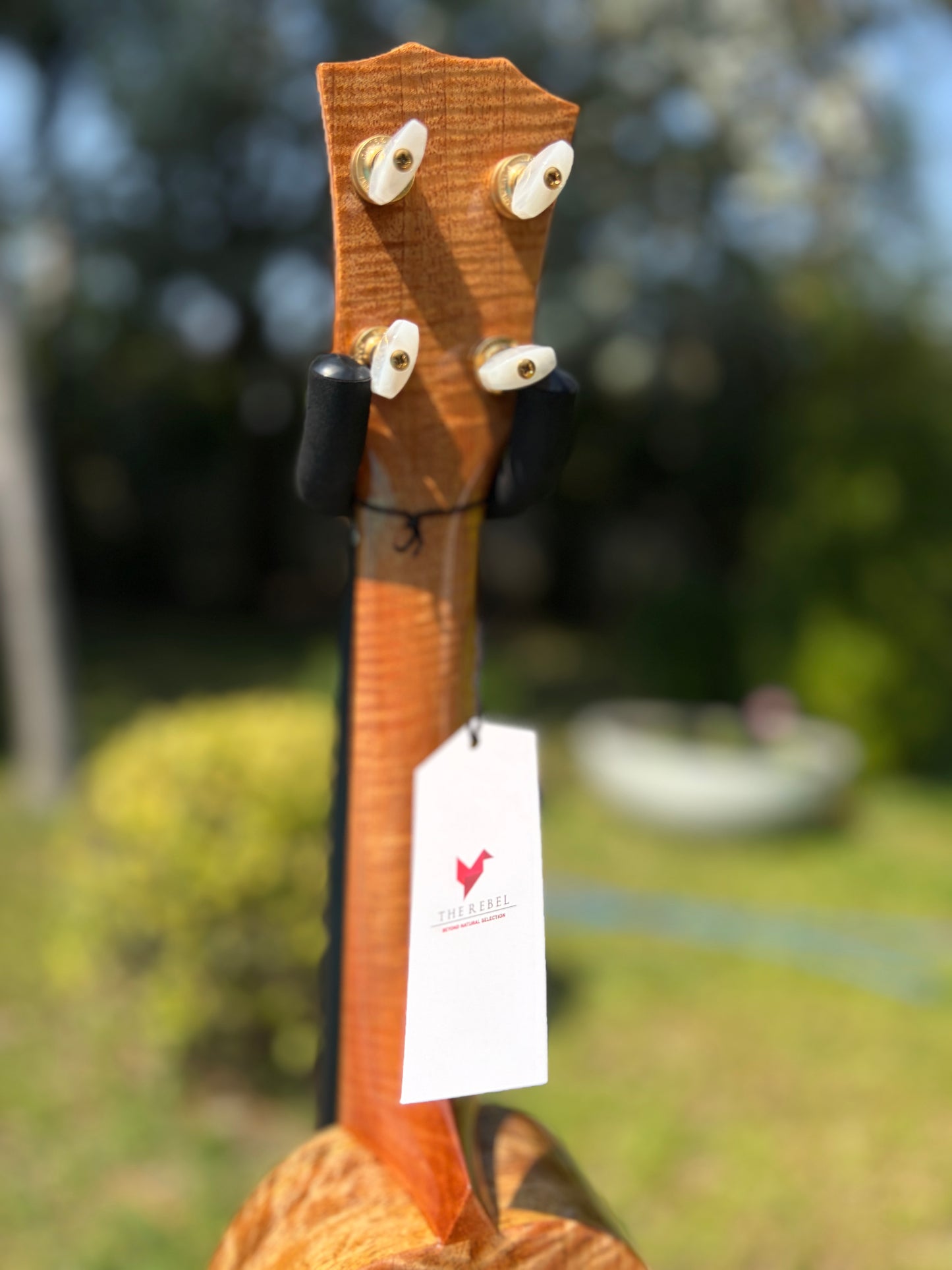 The Rebel Pi Pineapple Mango Ukulele