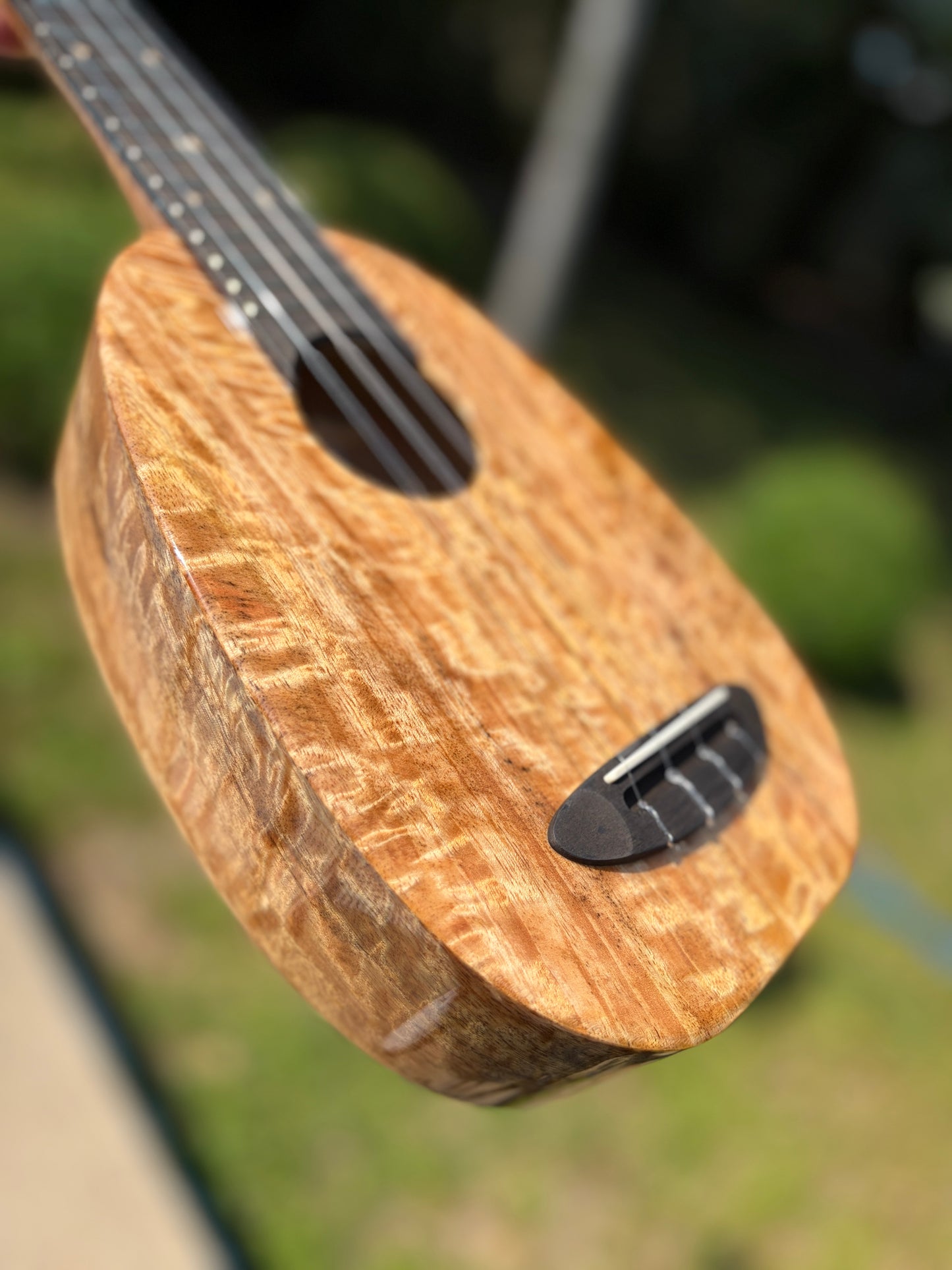 The Rebel Pi Pineapple Mango Ukulele