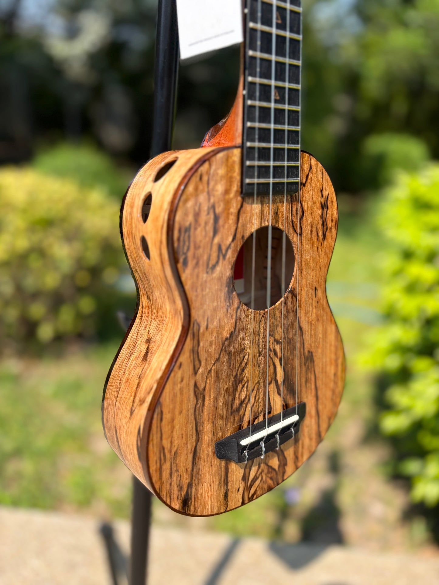 The Rebel Double Creme Plus Soprano