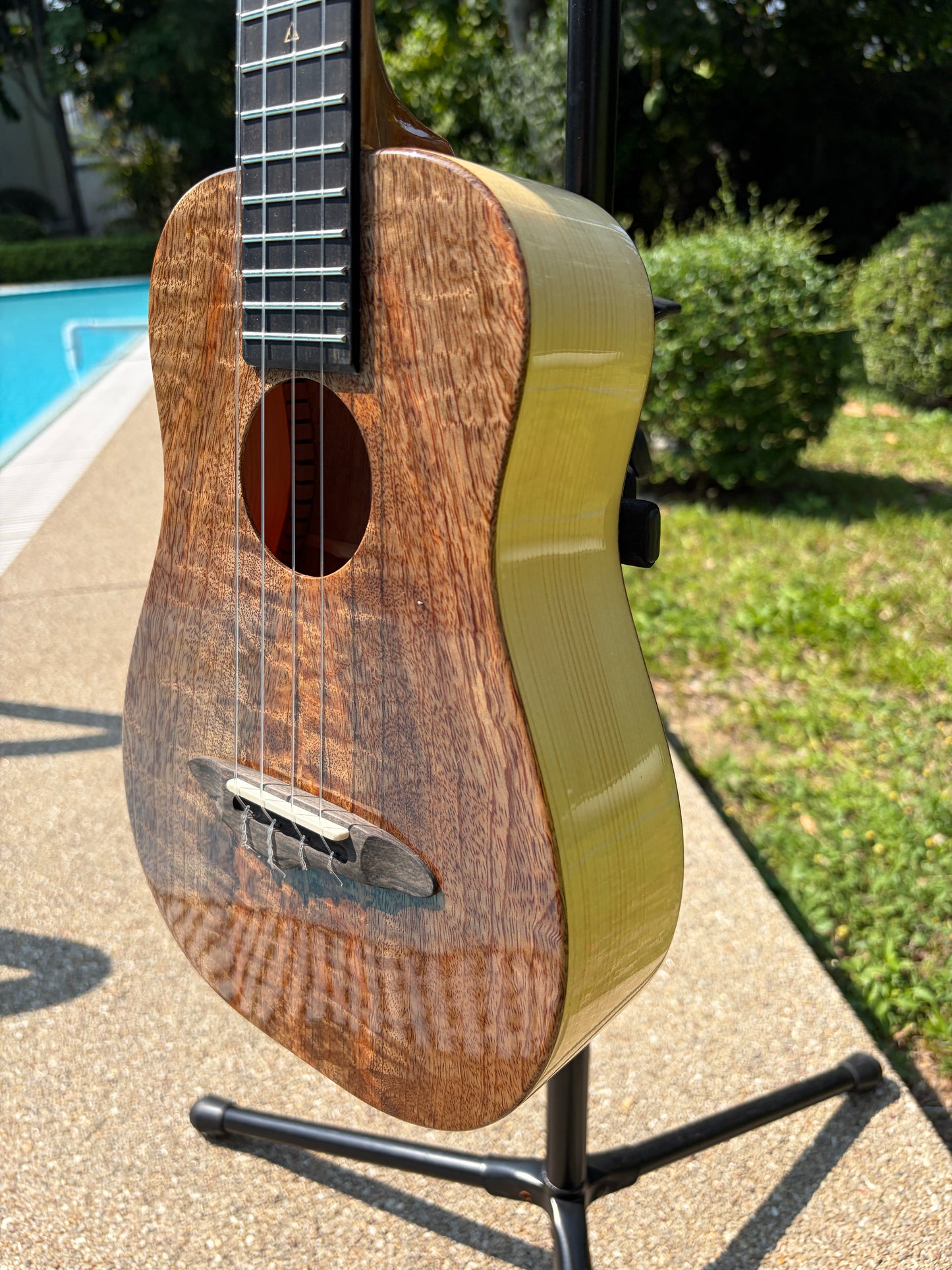 The Rebel Love Lace Mango Top & Back, Spruce Sides Tenor Ukulele!