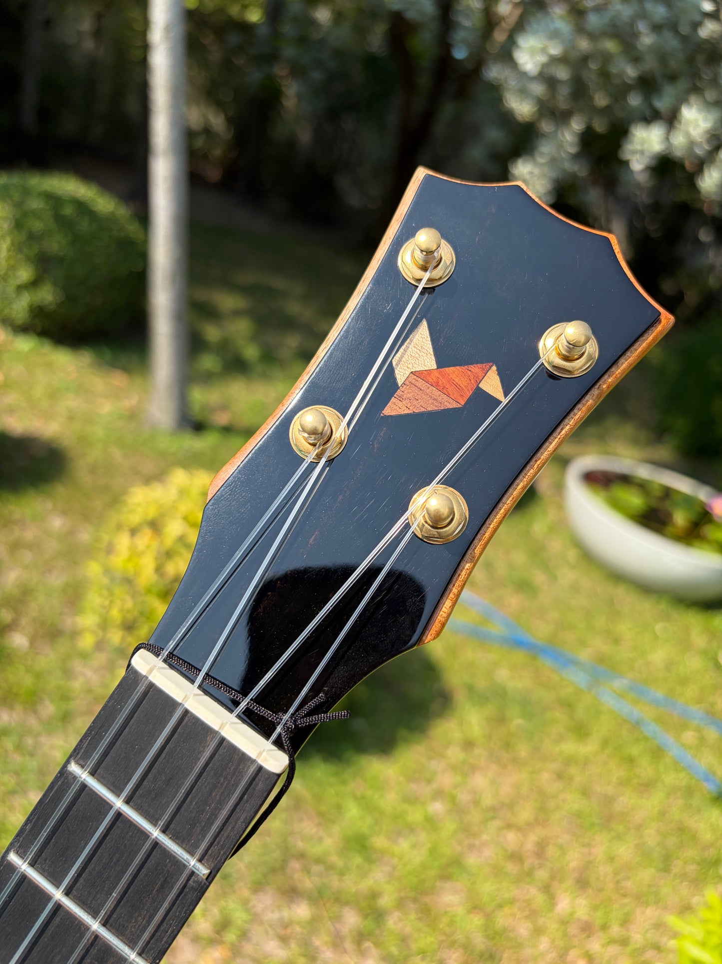 The Rebel Love Lace Mango Top & Back, Spruce Sides Tenor Ukulele!