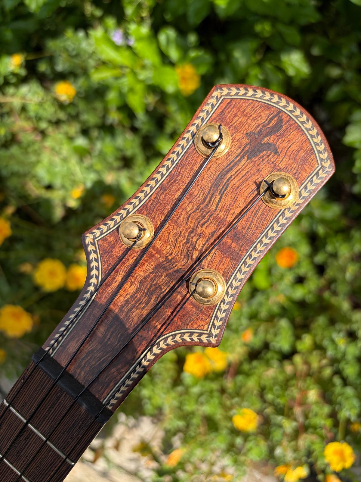 Tatsuya Mitsui 5A Hawaiian Koa Pineapple Type G
