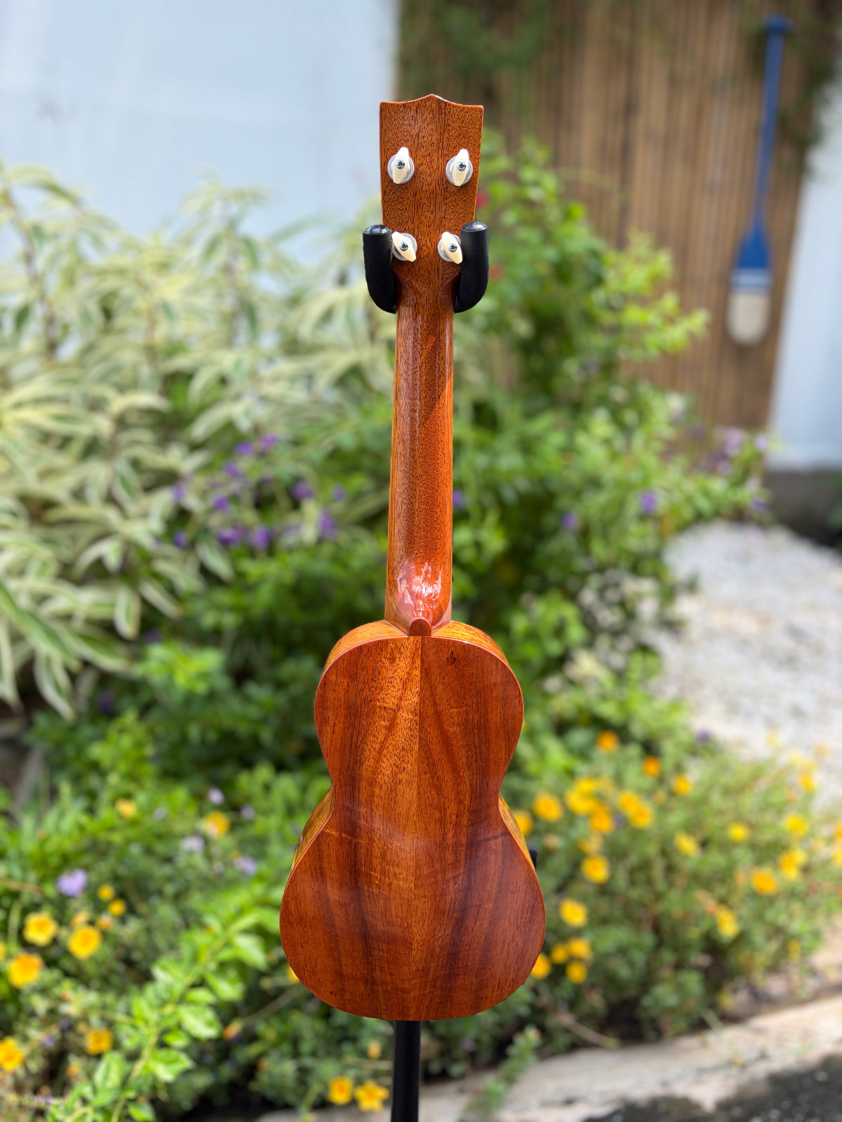 Tkitki Hawaiian koa soprano 14 frets