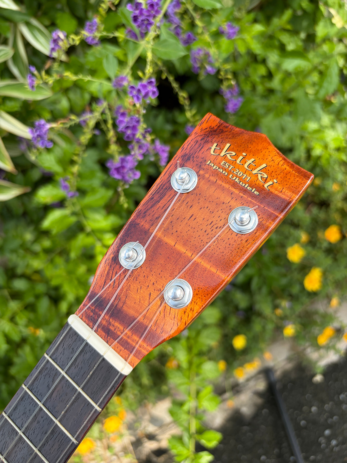 Tkitki Hawaiian koa soprano 14 frets
