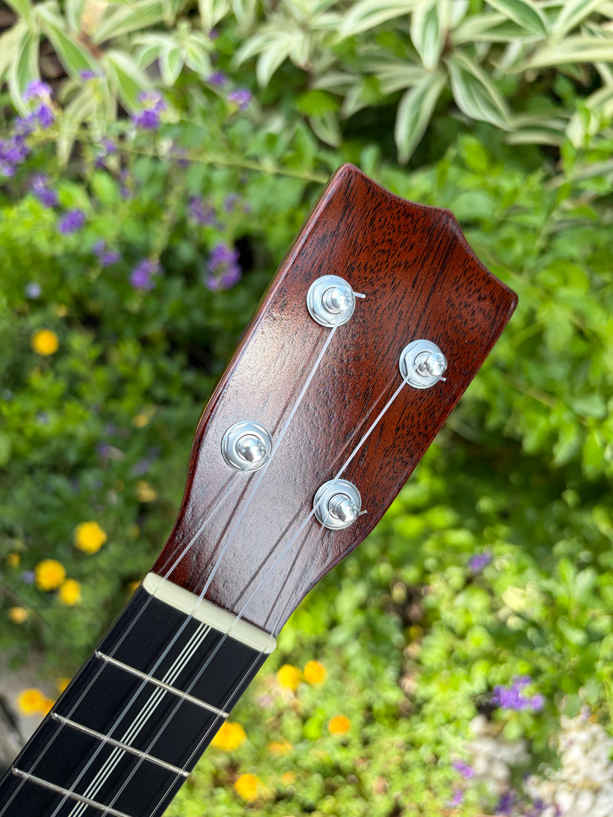 TkiTki Style 3 Cuban Mahogany (One Piece Top) Soprano