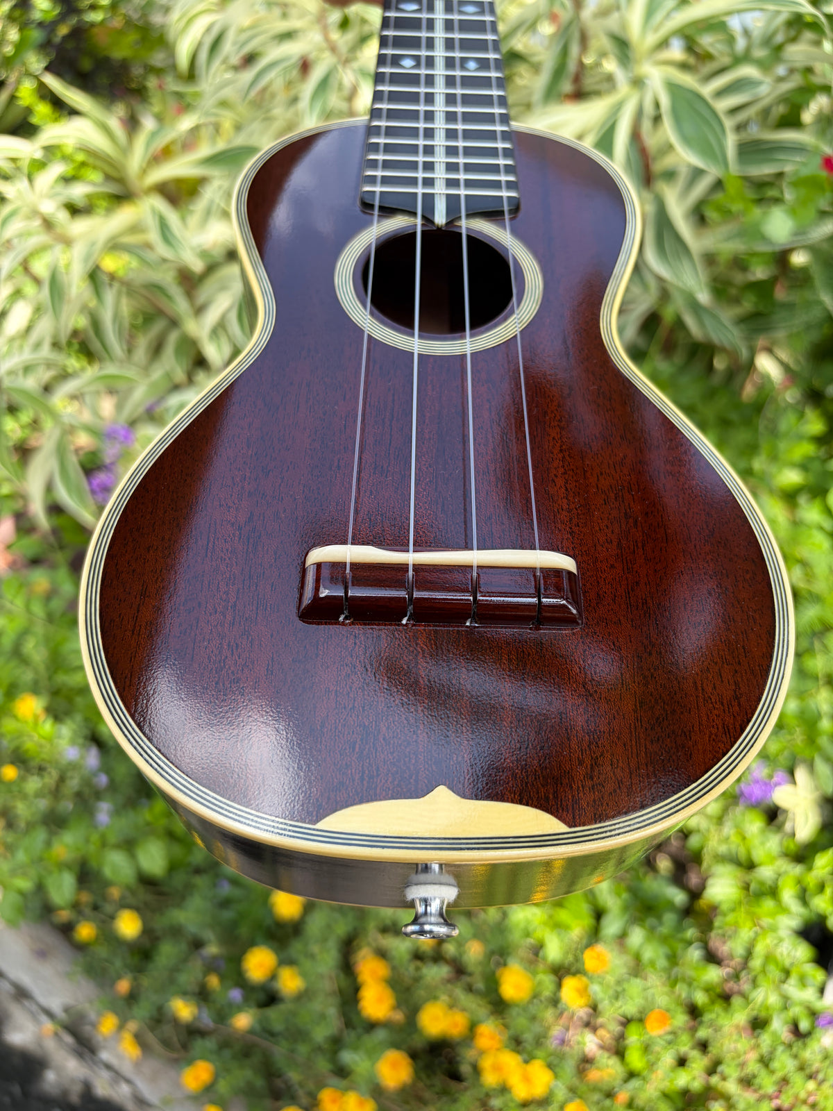 TkiTki Style 3 Cuban Mahogany (One Piece Top) Soprano
