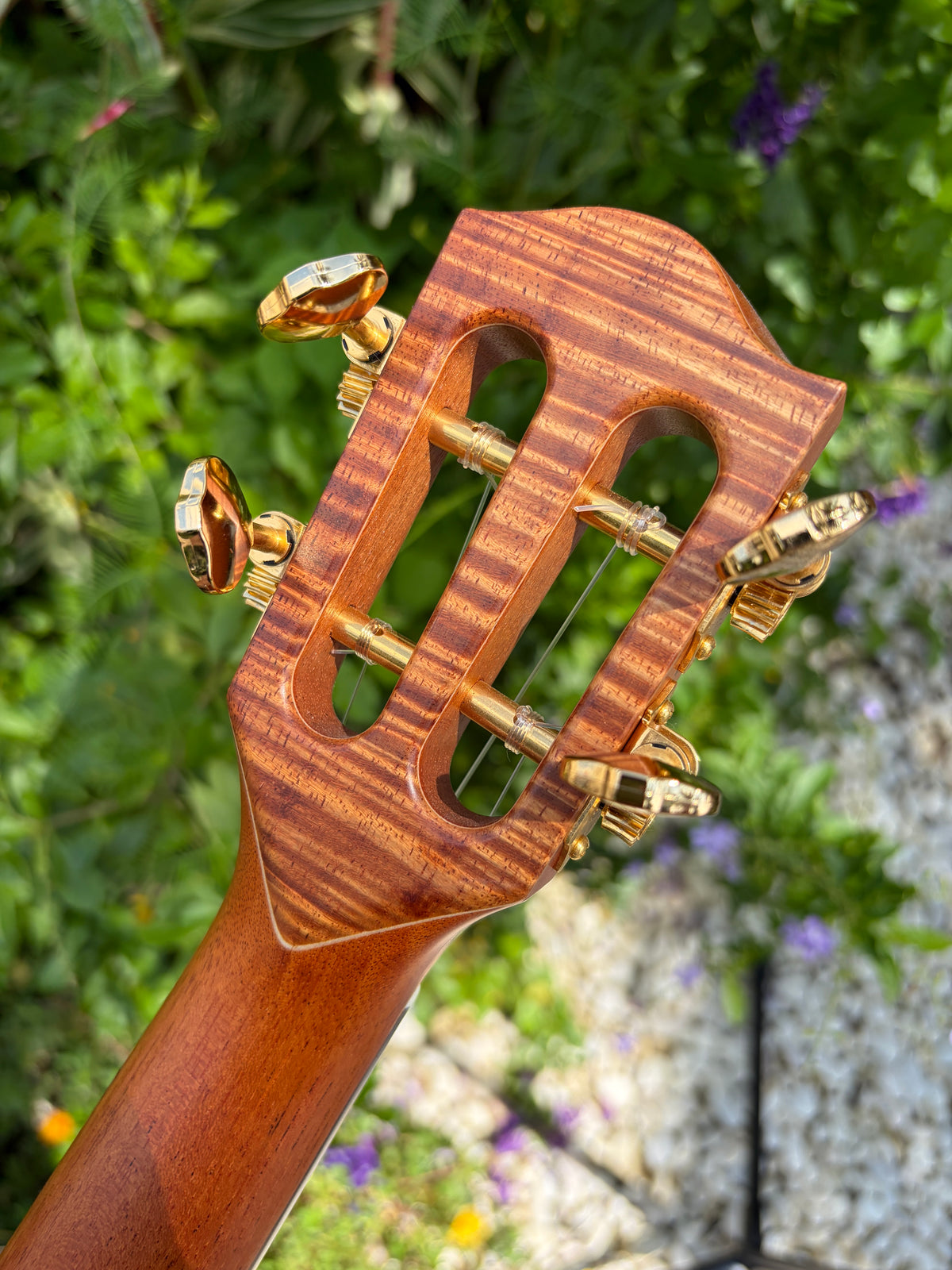 Toda Custom 5A Hawaiian Koa Tenor