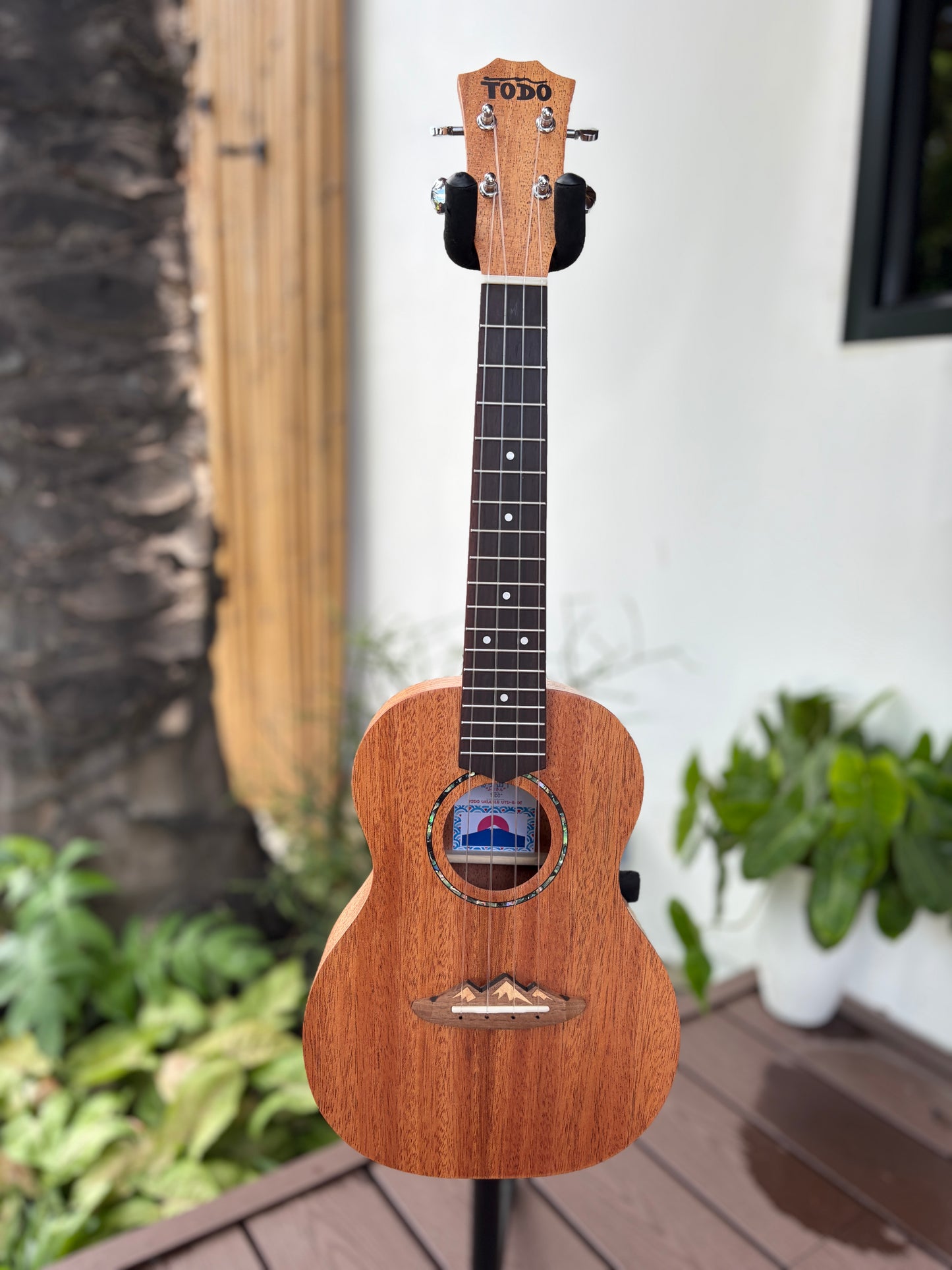 Todo Mahogany Concert Fujisan