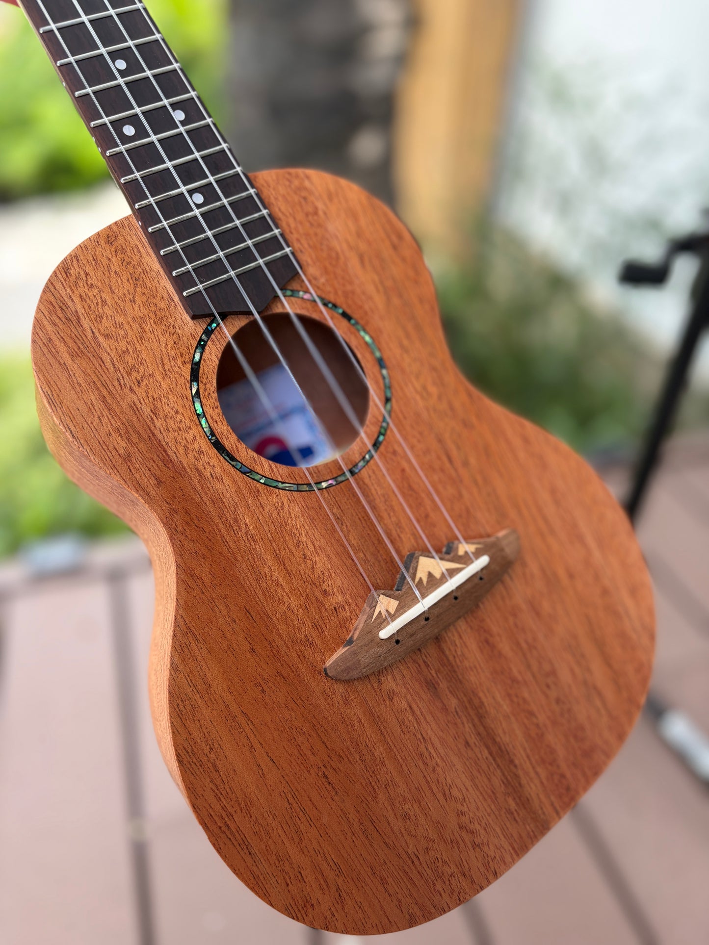 Todo Mahogany Concert Fujisan