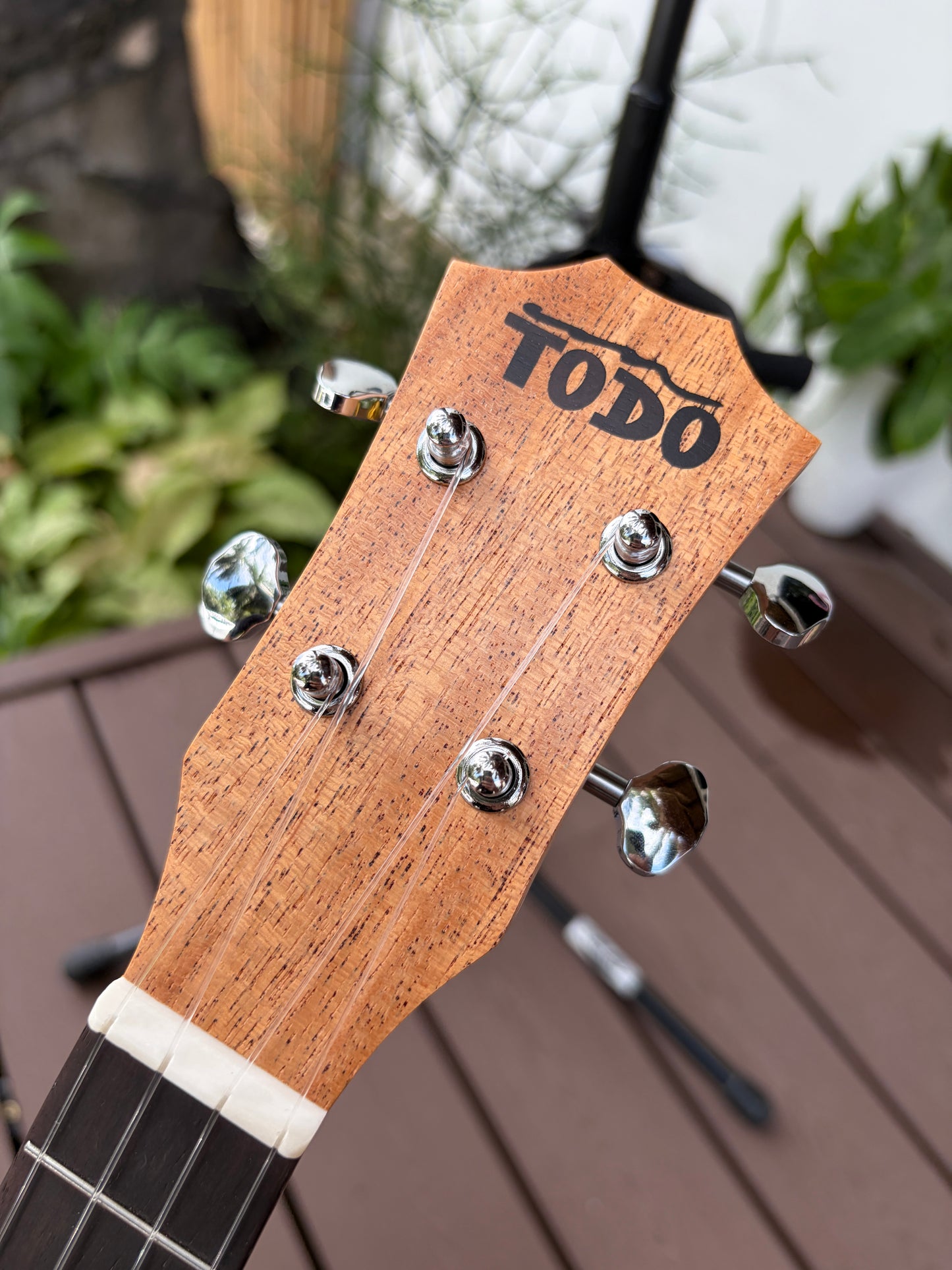 Todo Mahogany Concert Fujisan