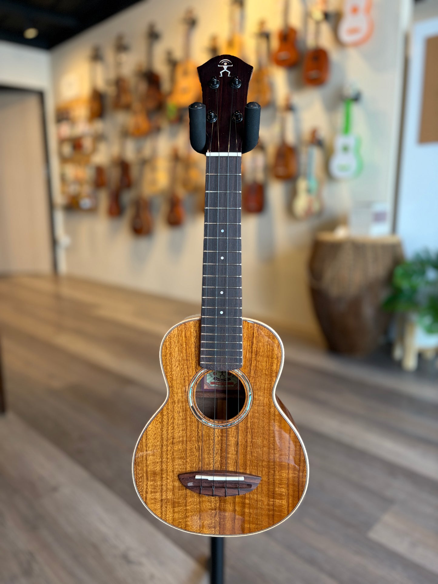 aNueNue All Solid Acacia Soprano