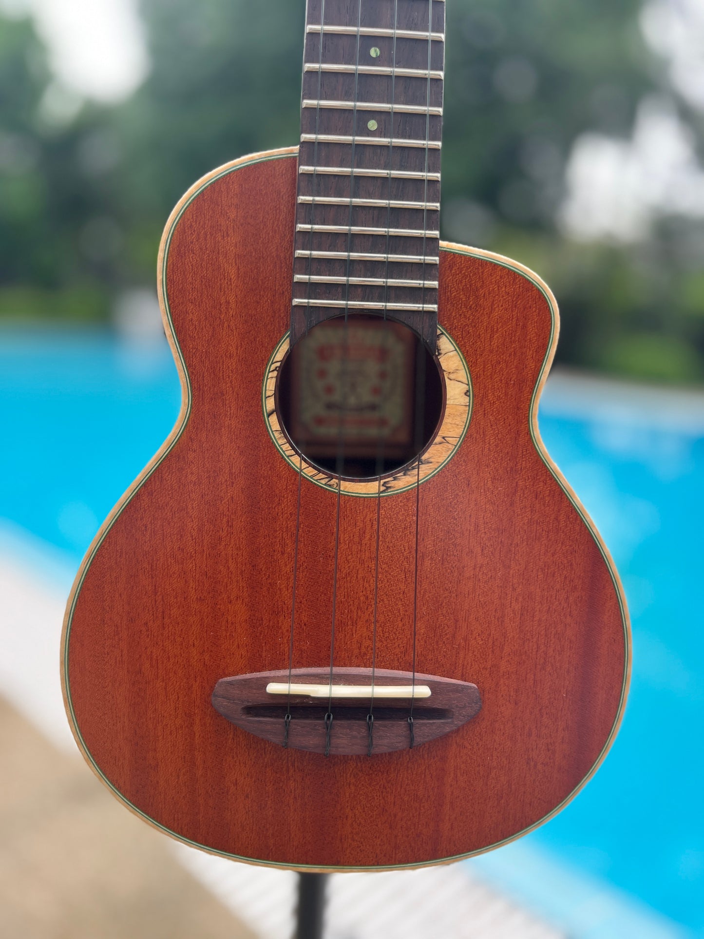 aNueNue Green Bird All Solid Cuban Mahogan Soprano