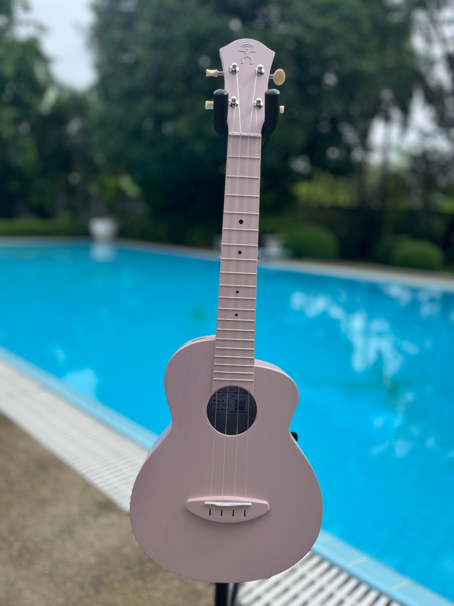 aNueNue Lyra Dusty Rose Fiberglass Concert Ukulele