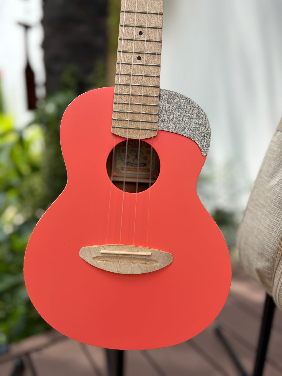 aNueNue UC-10 Living Coral Concert Ukulele