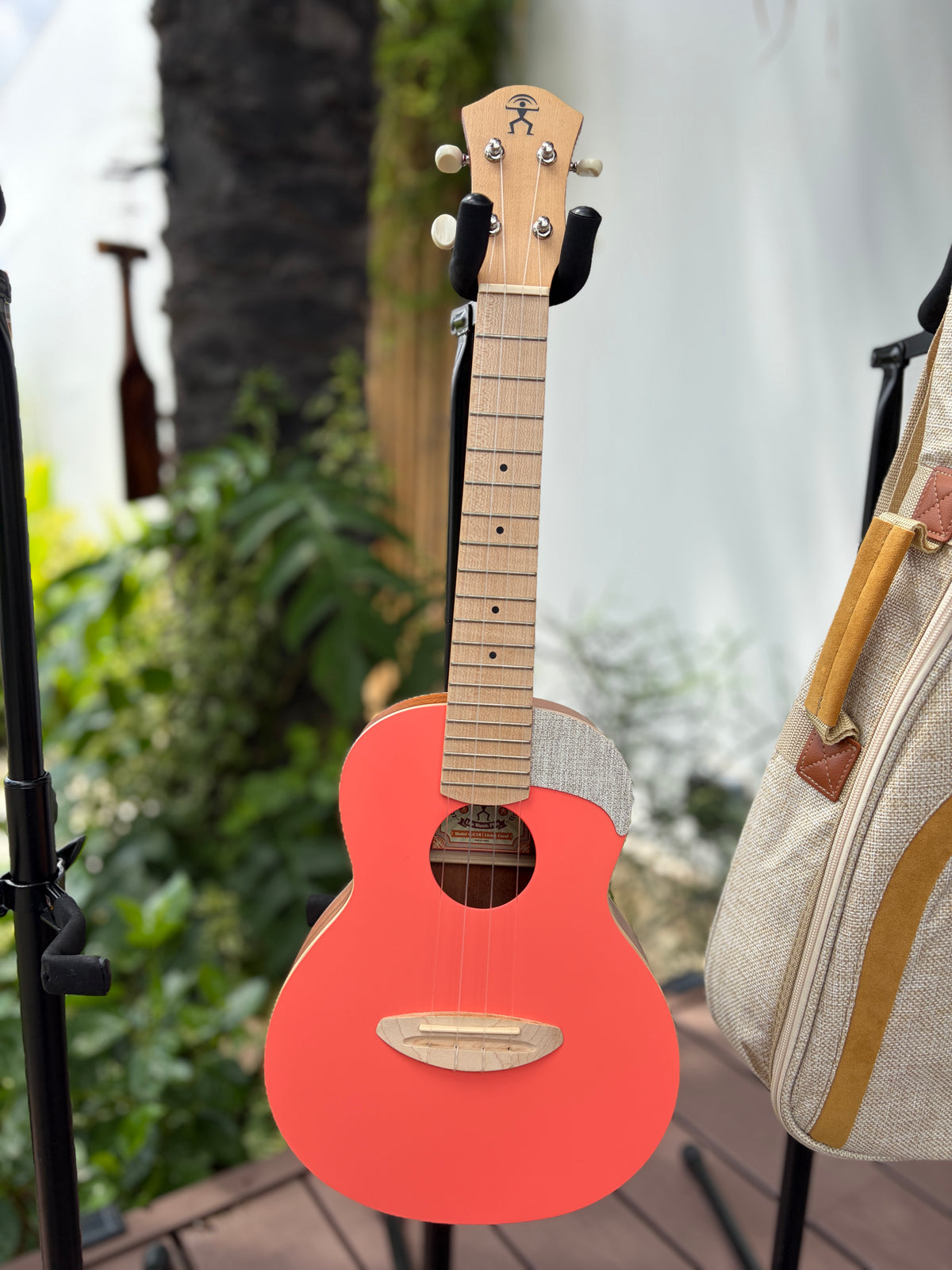aNueNue UC-10 Living Coral Concert Ukulele
