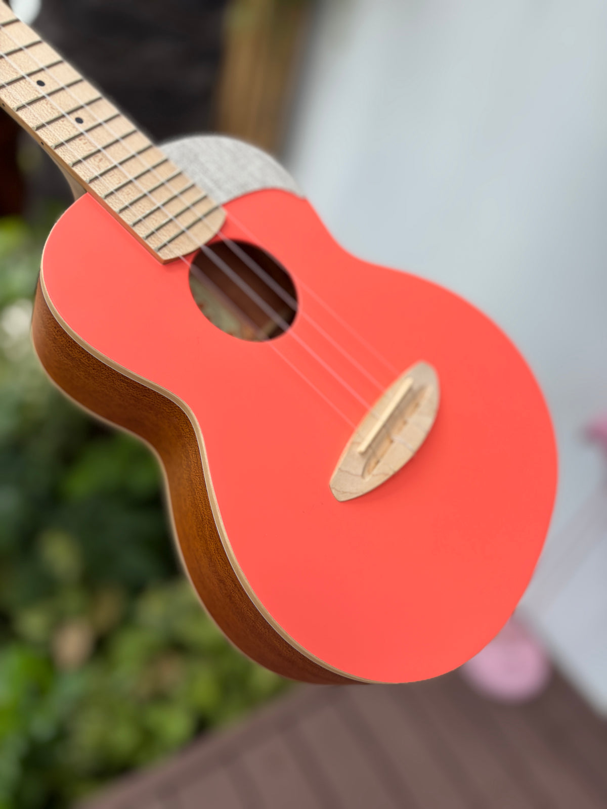 aNueNue UC-10 Living Coral Concert Ukulele