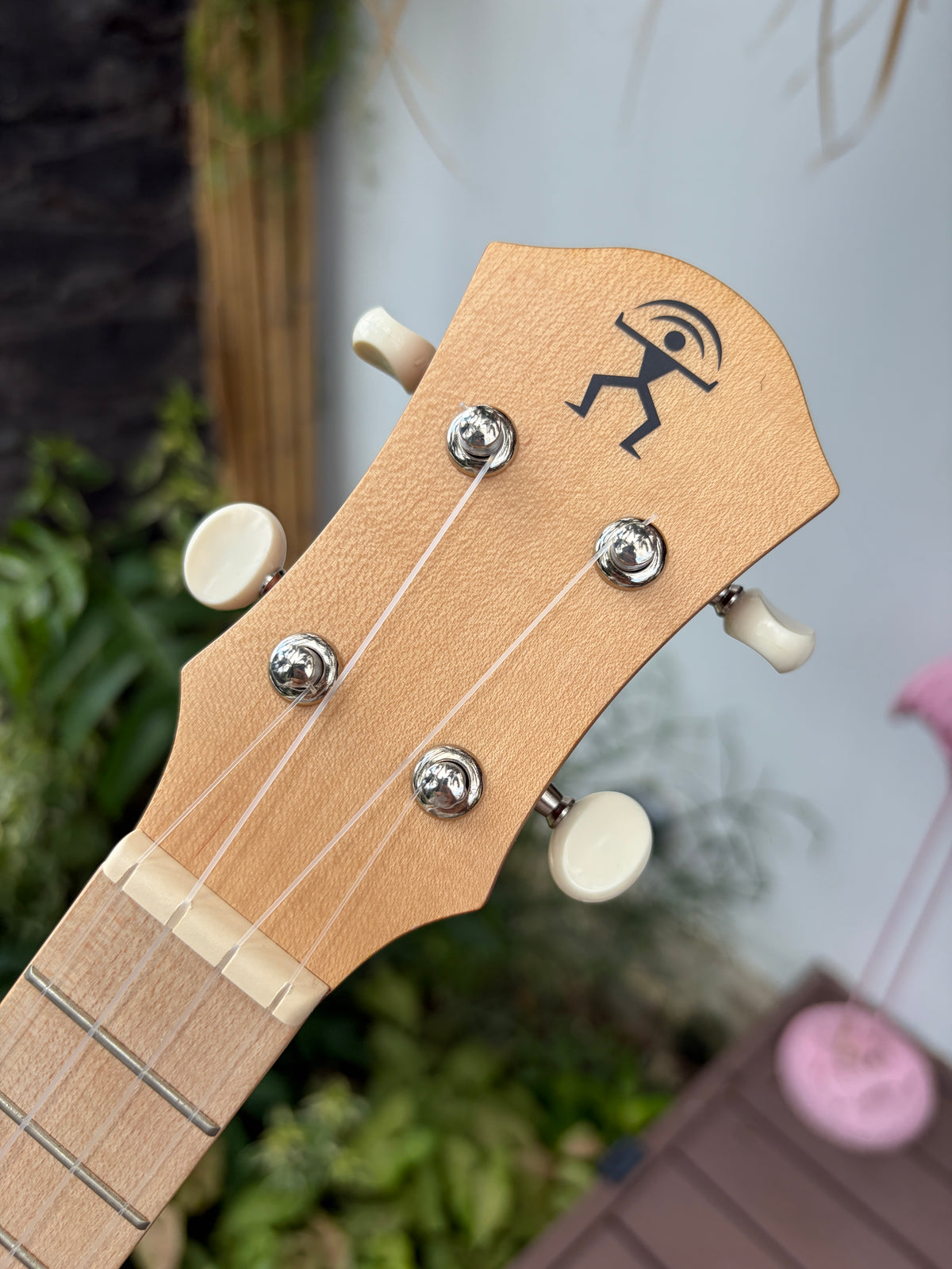 aNueNue UC-10 Living Coral Concert Ukulele