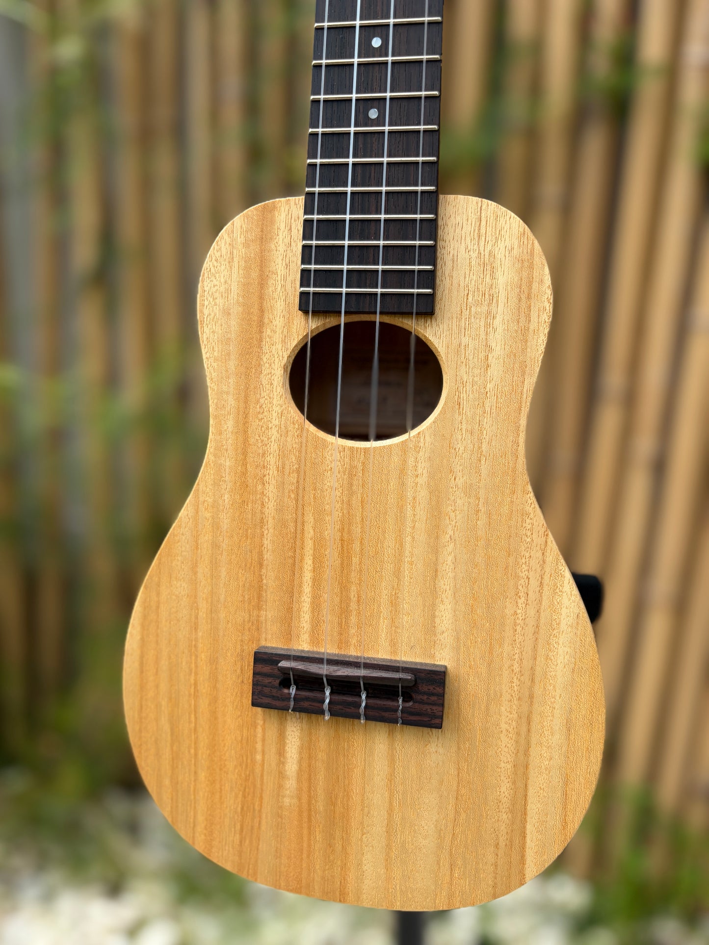 Kige Workshop Primevera soprano (14 frets)