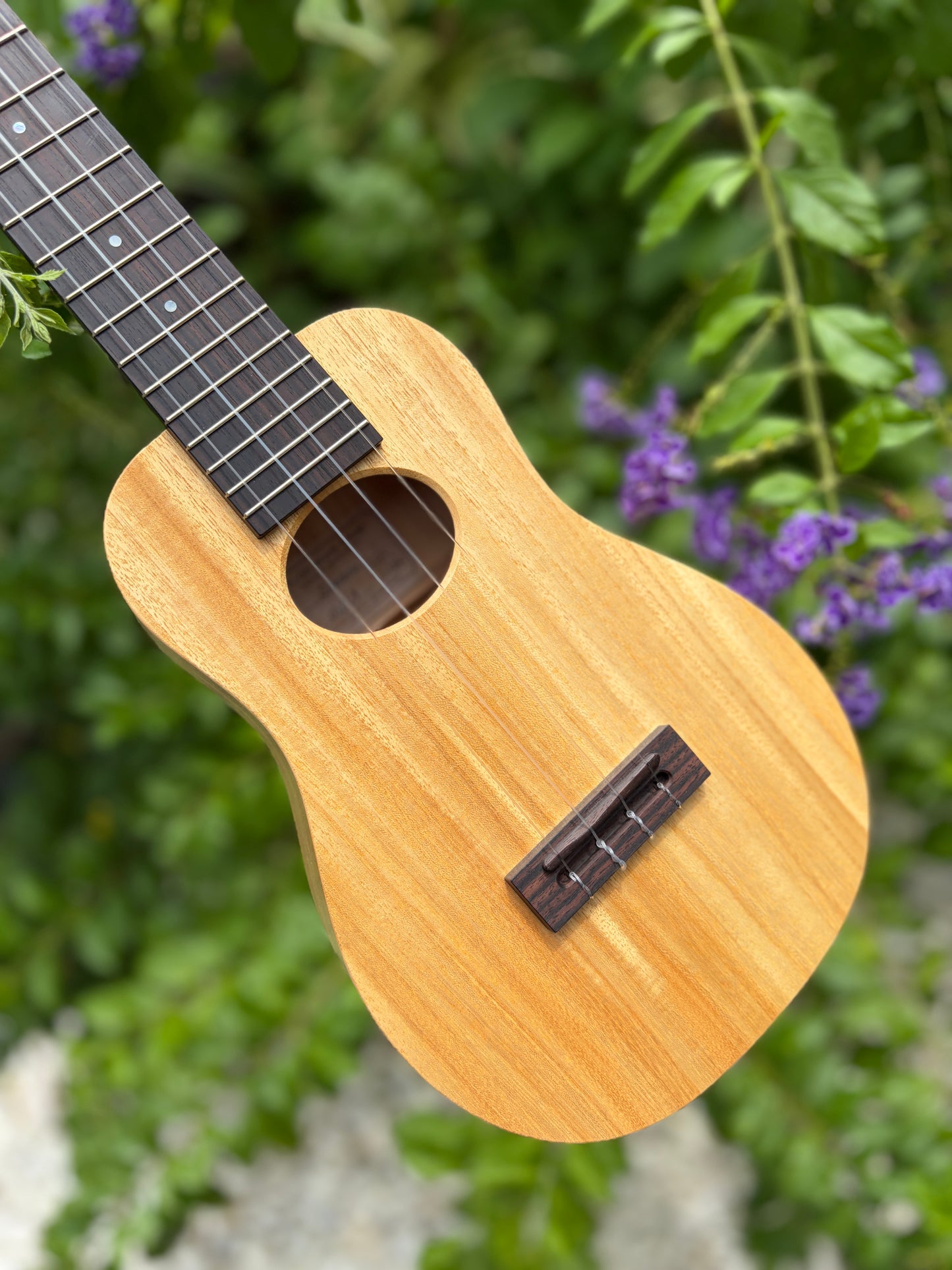 Kige Workshop Primevera soprano (14 frets)