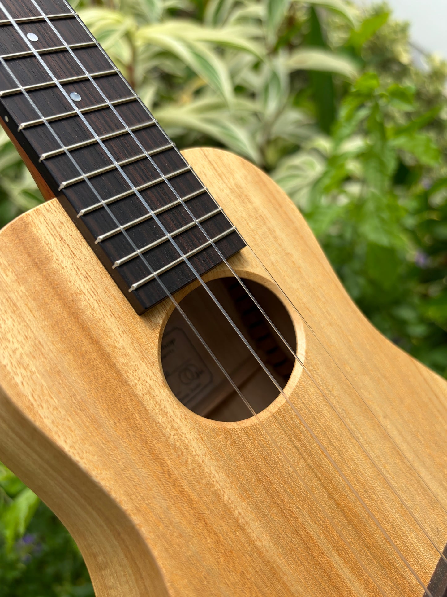 Kige Workshop Primevera soprano (14 frets)