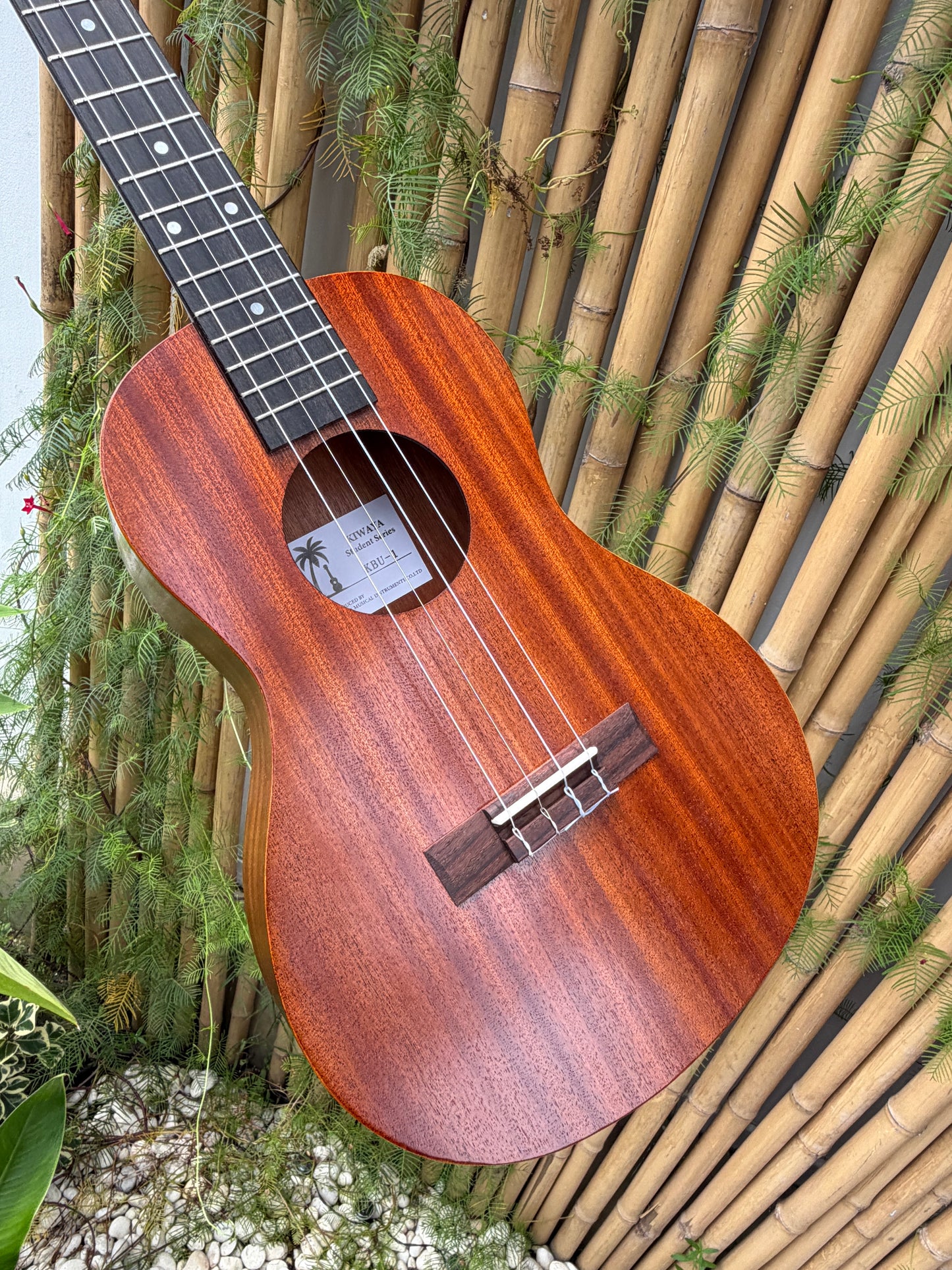 Kiwaya Student Model Baritone