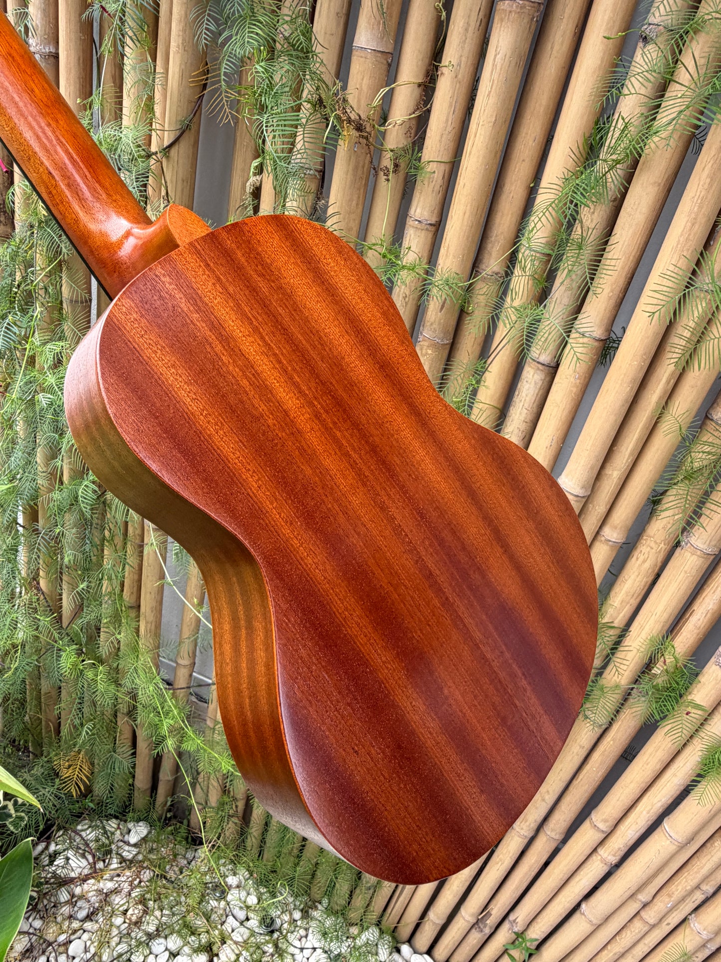 Kiwaya Student Model Baritone