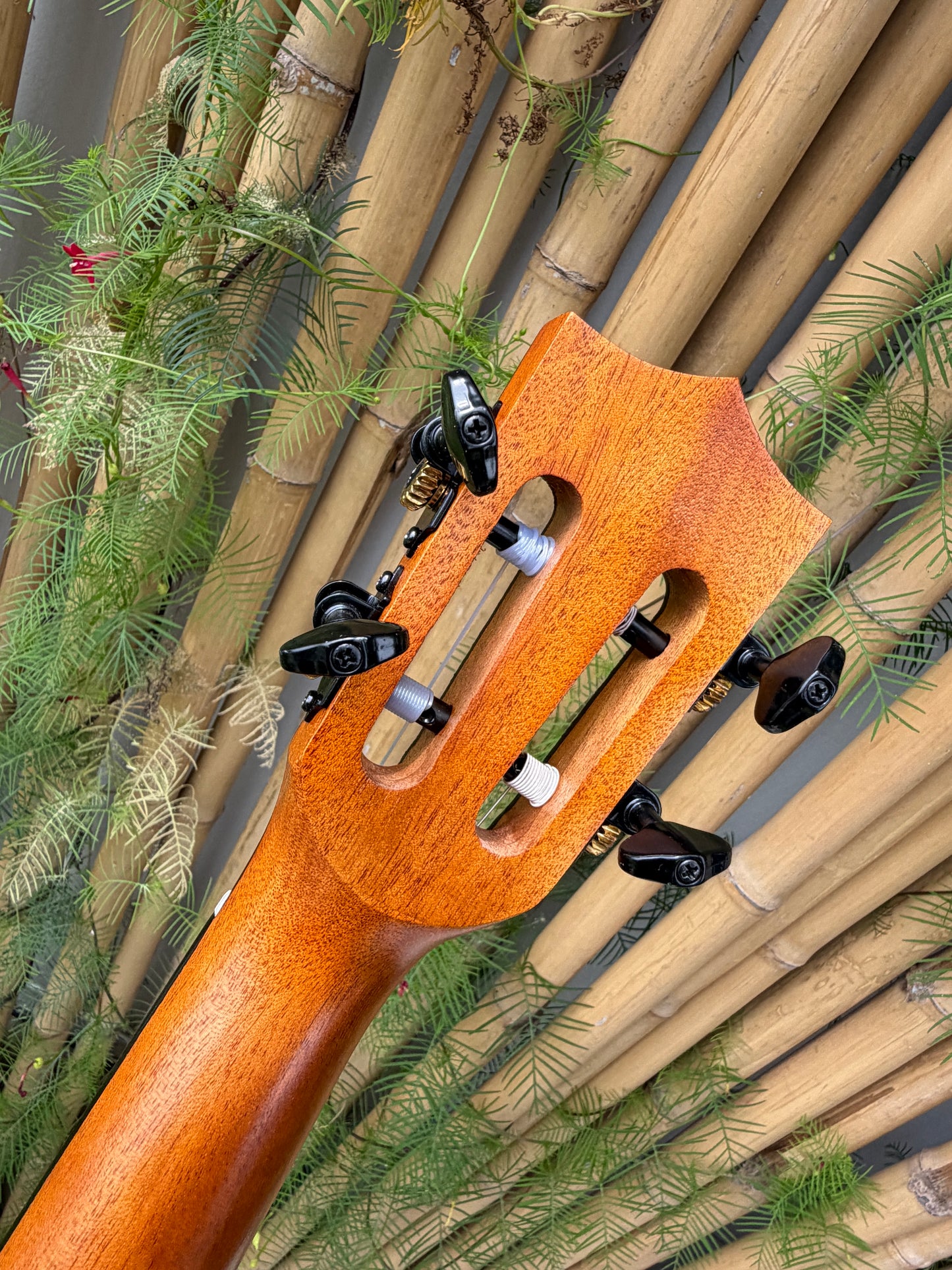 Kiwaya Student Model Baritone