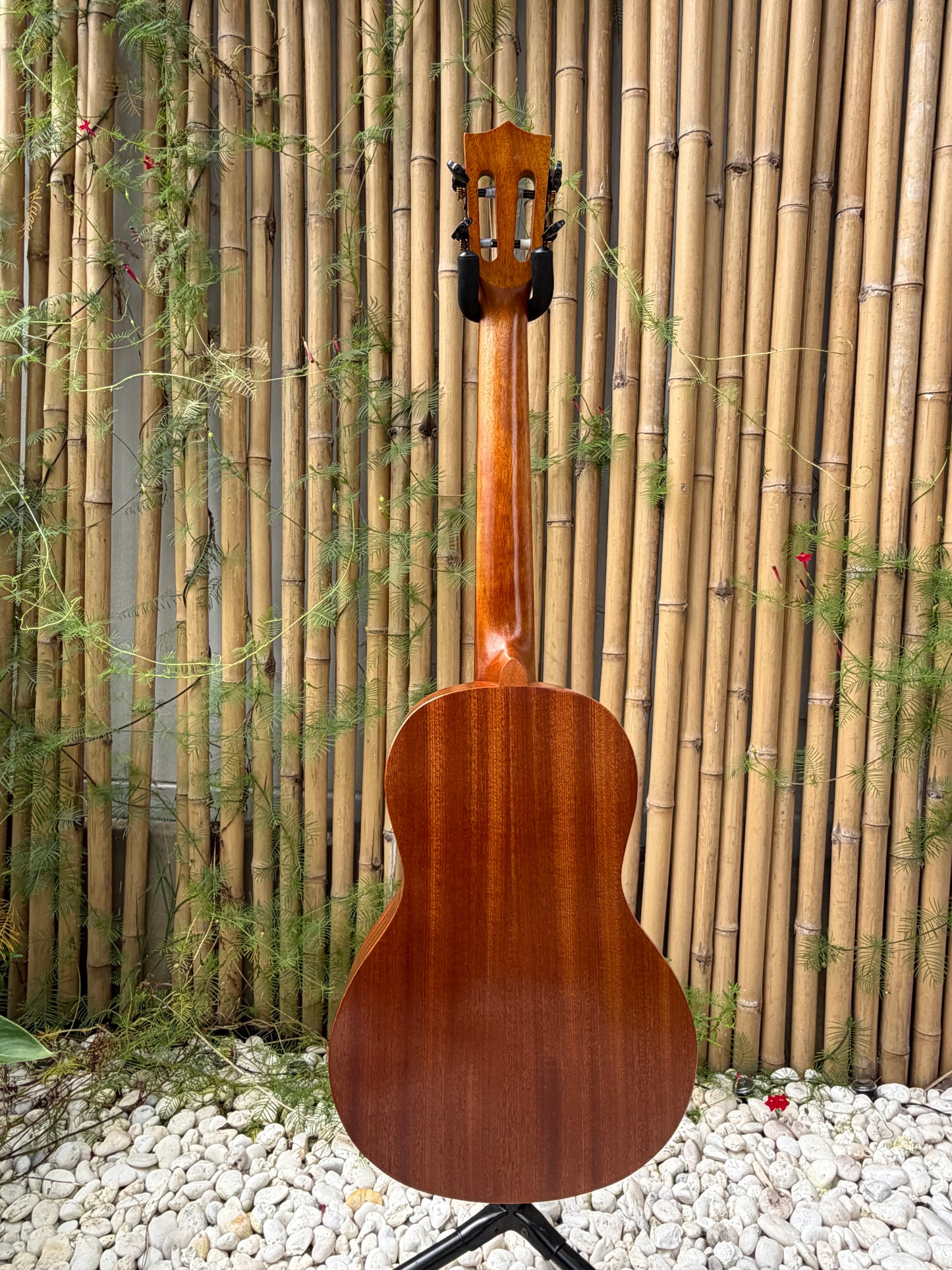 Kiwaya Student Model Baritone