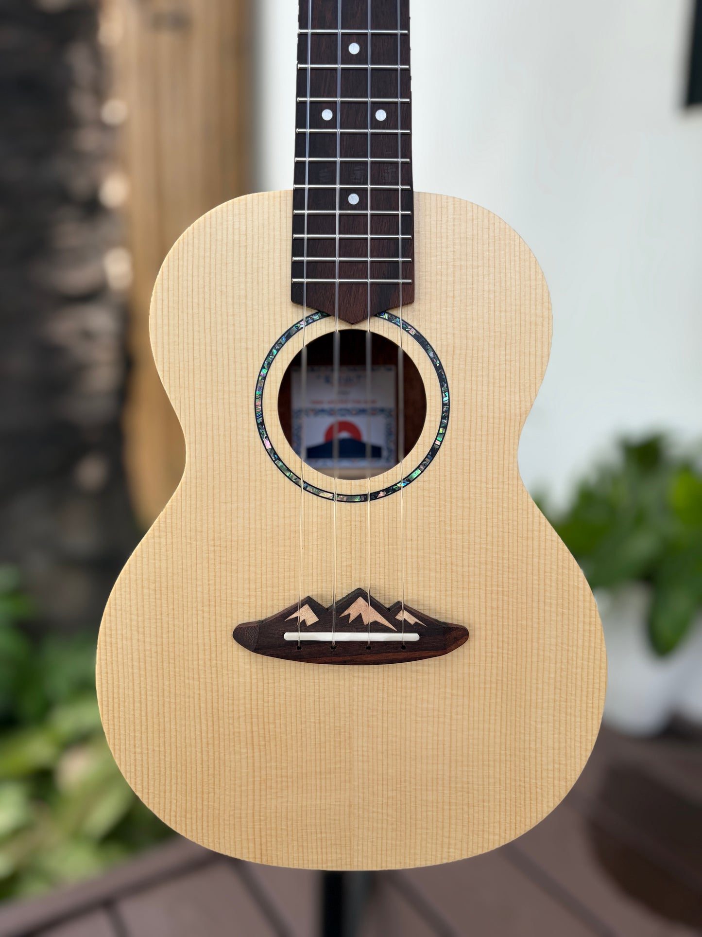 Todo Spruce Concert Fujisan