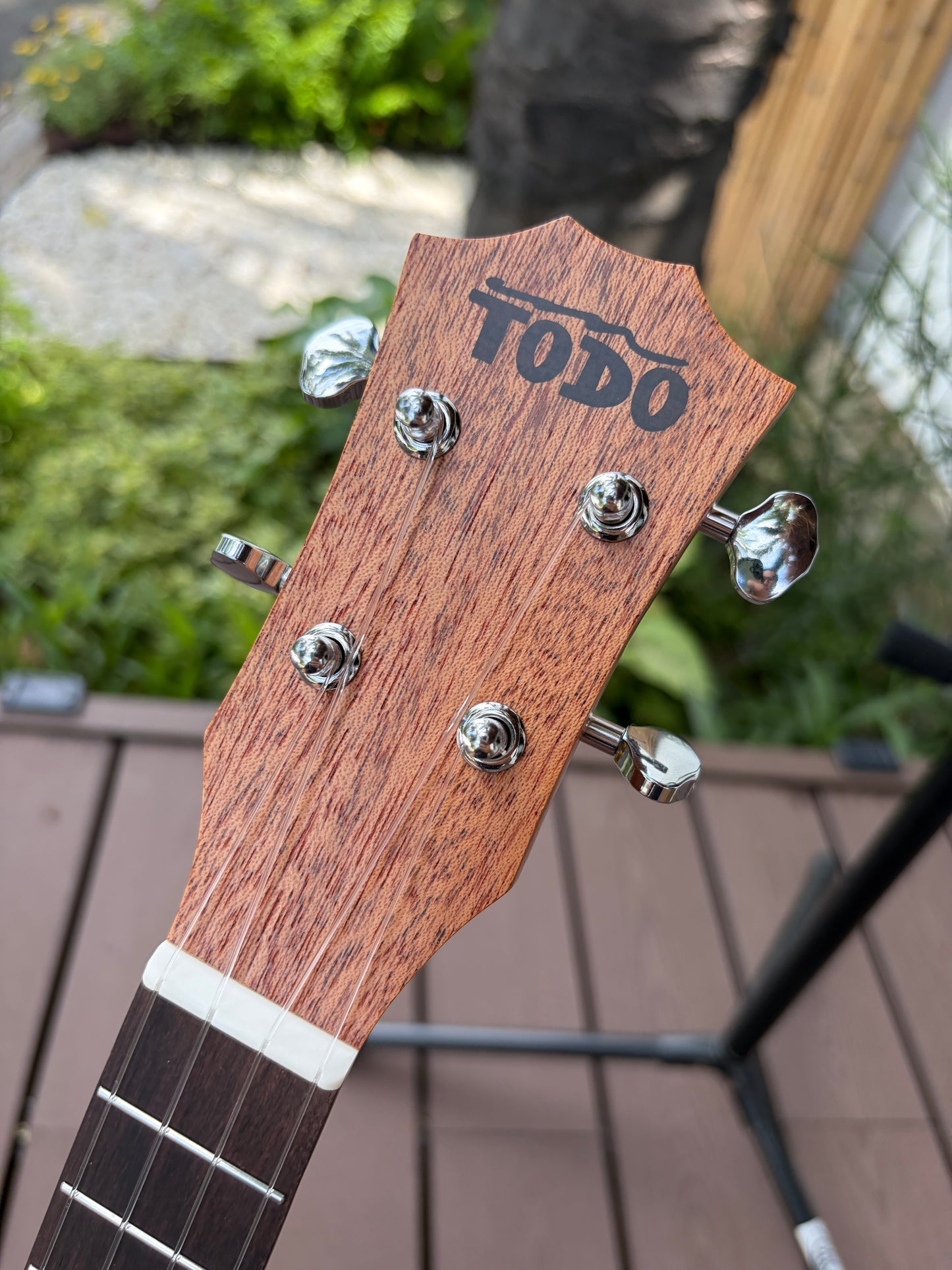Todo Spruce Concert Fujisan