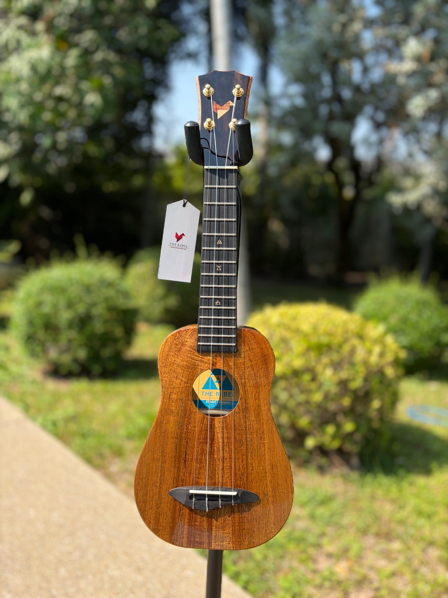 The Rebel Oppon Acacia Top& Sides, Spruce Back Soprano!
