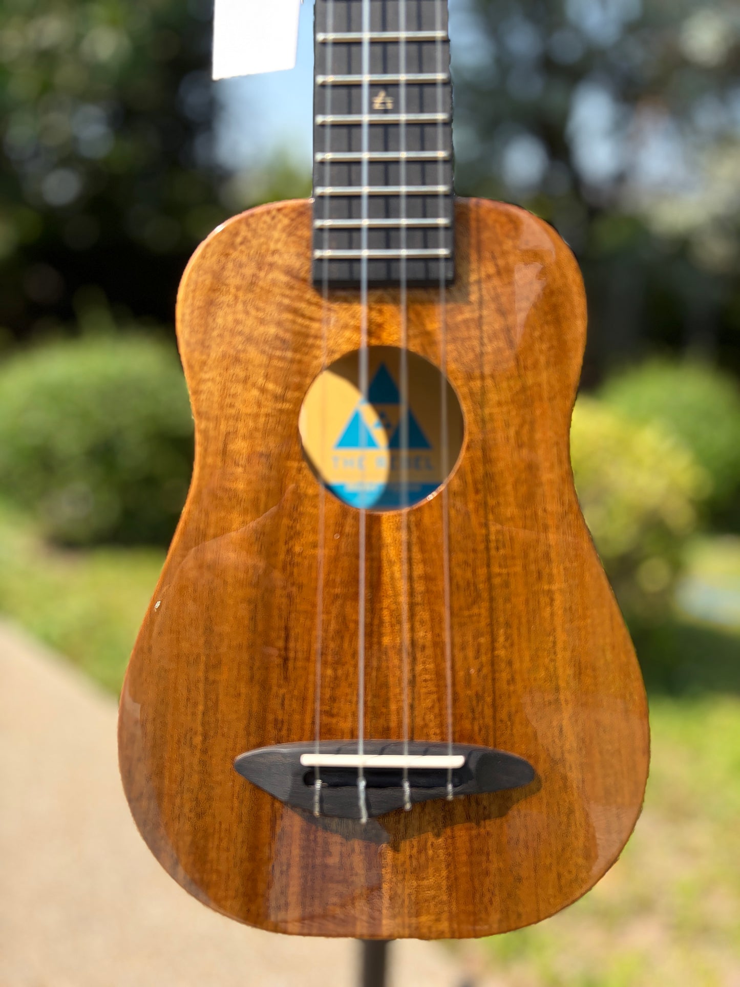 The Rebel Oppon Acacia Top& Sides, Spruce Back Soprano!